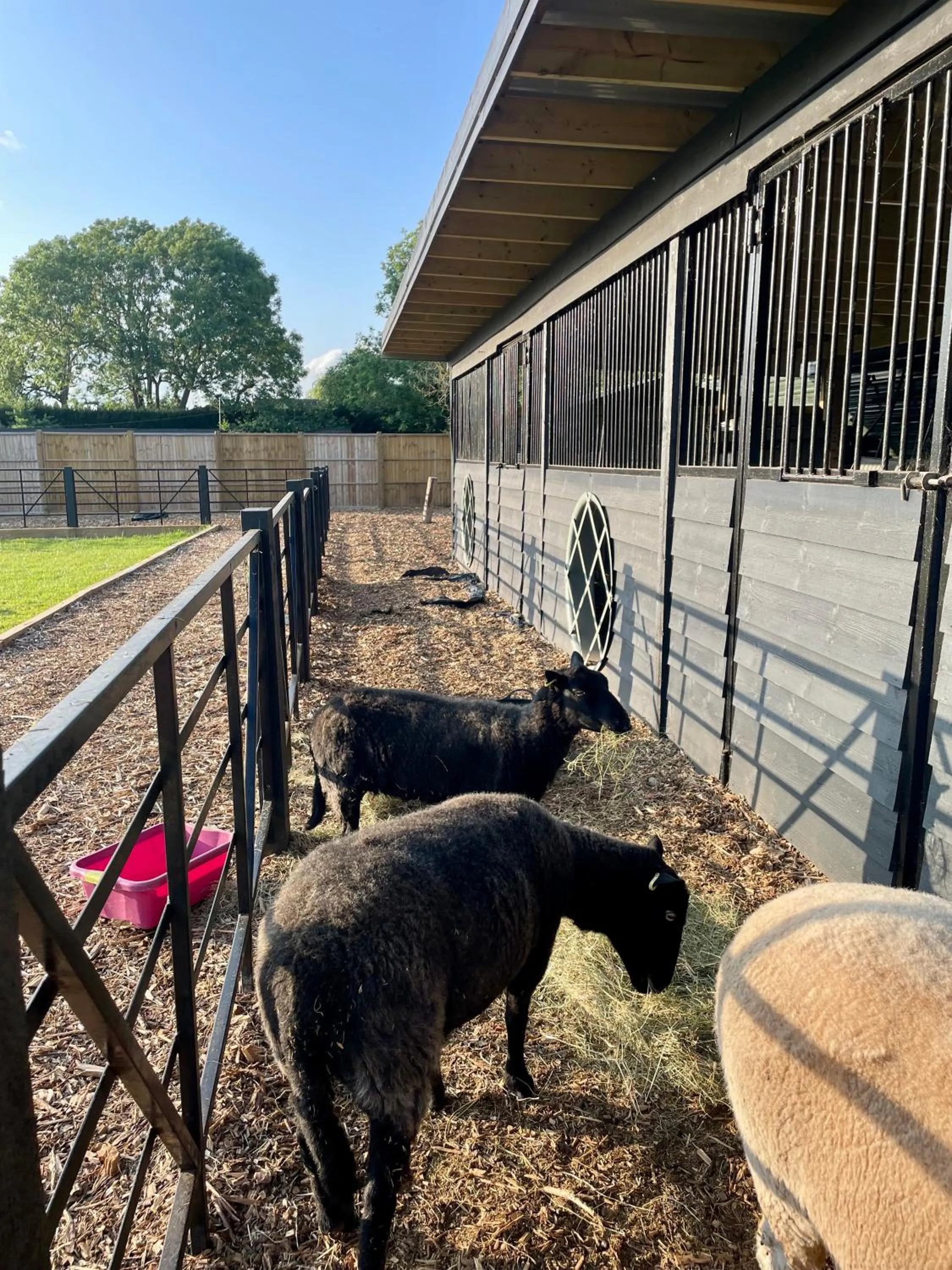 Willow Court Farm Studio East & Petting Farm, 8 mins to Legoland & Windsor, 15 mins to Lapland UK