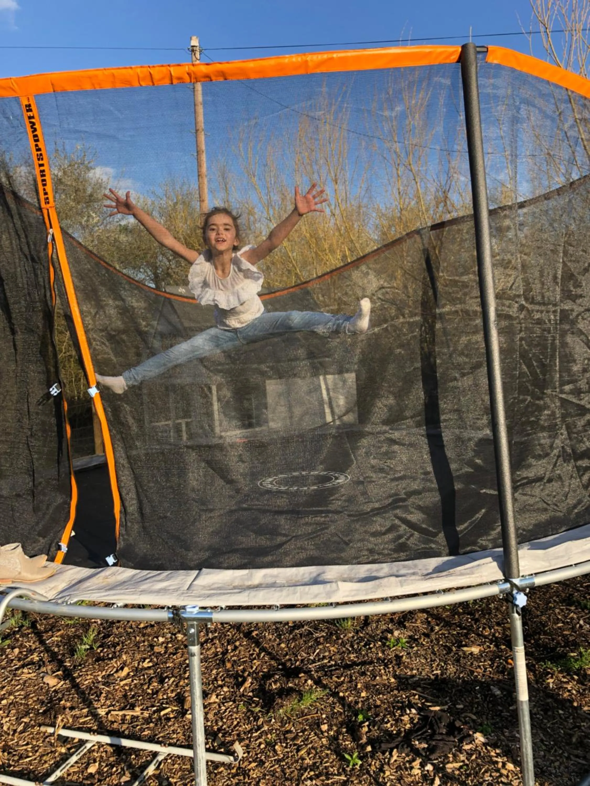 Animals in Windsor Studio East