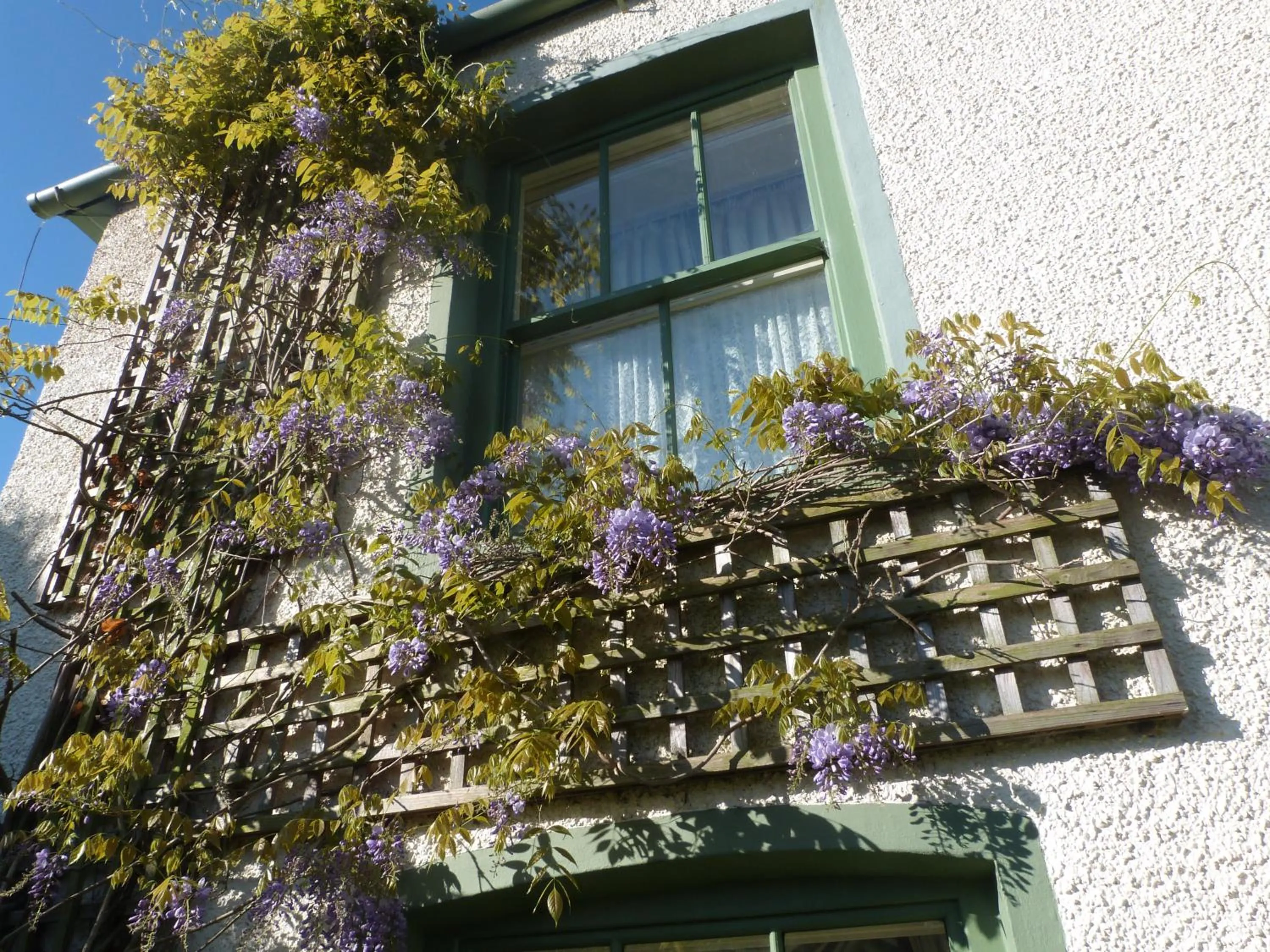 Property building in Pomona