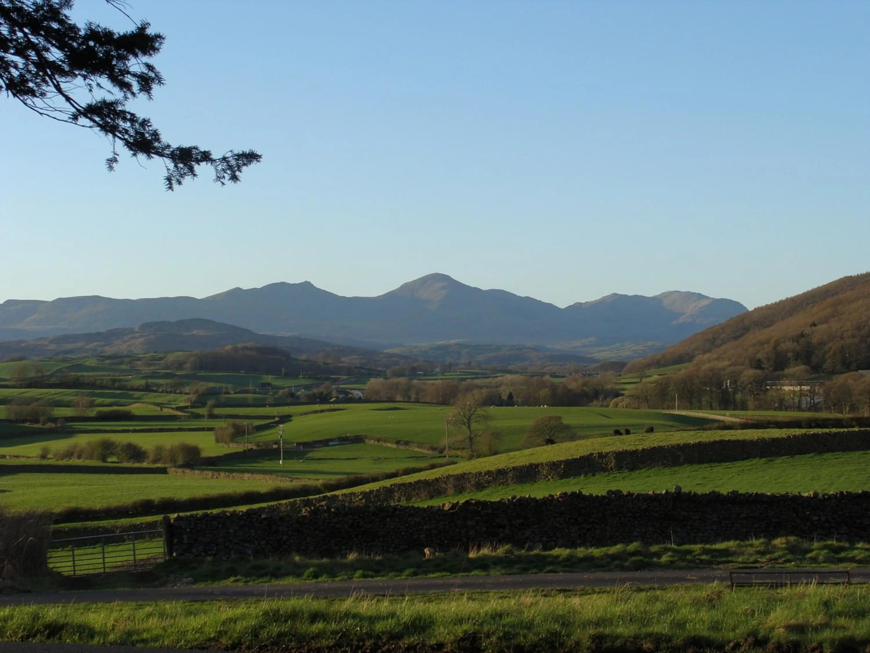 Property building in Pomona