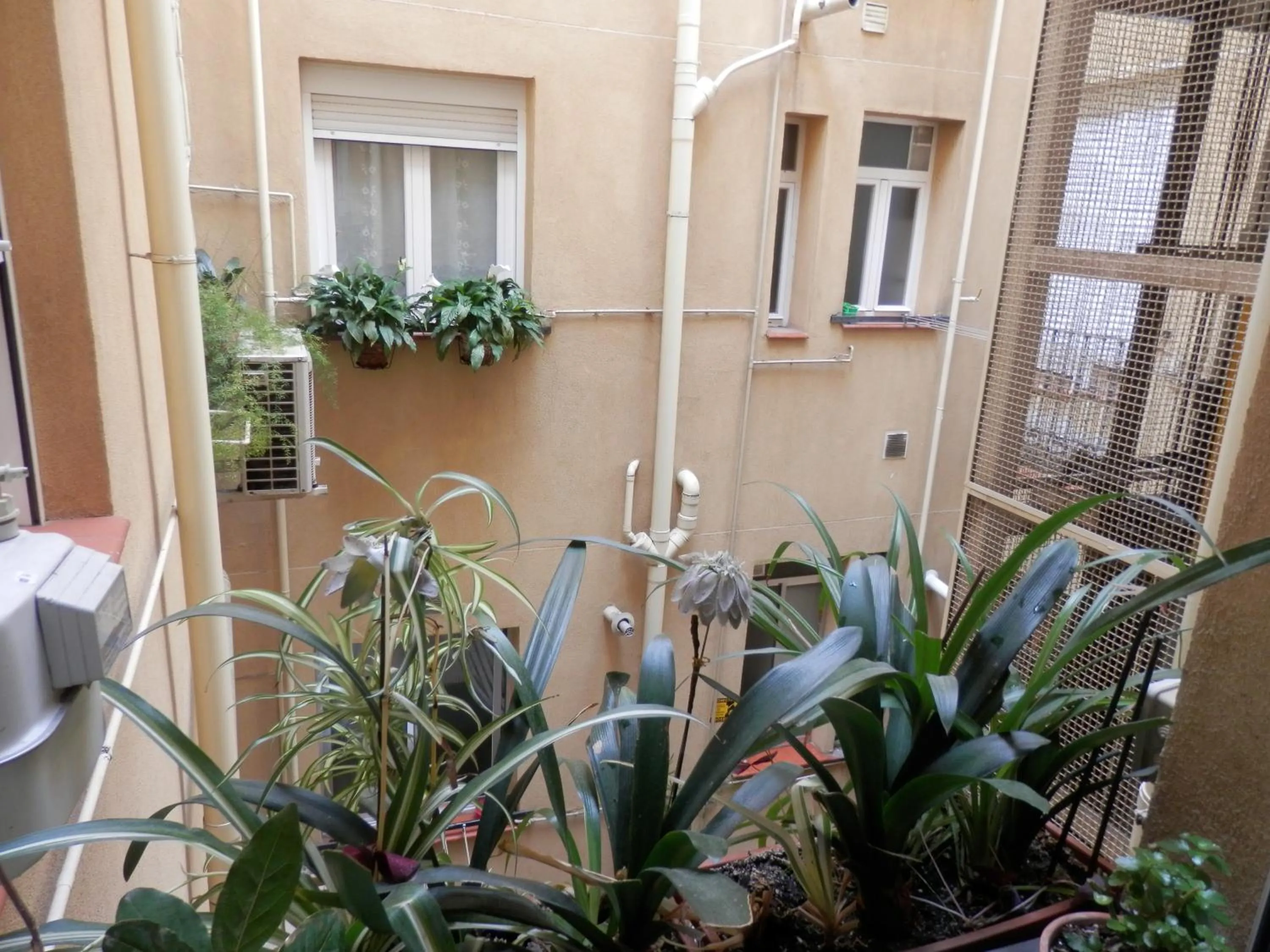 Garden view in Hostal del Pez Azul