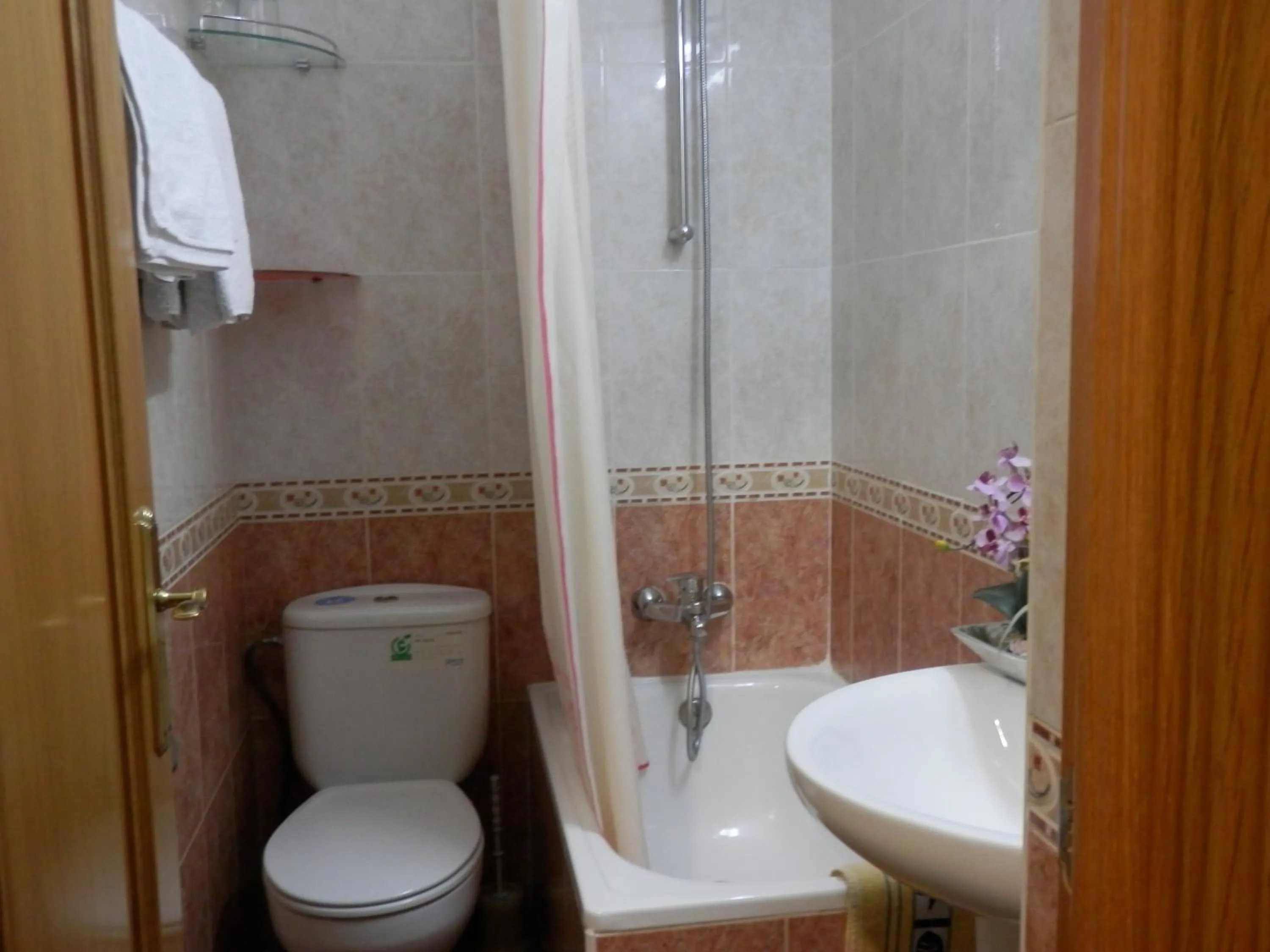 Toilet in Hostal del Pez Azul