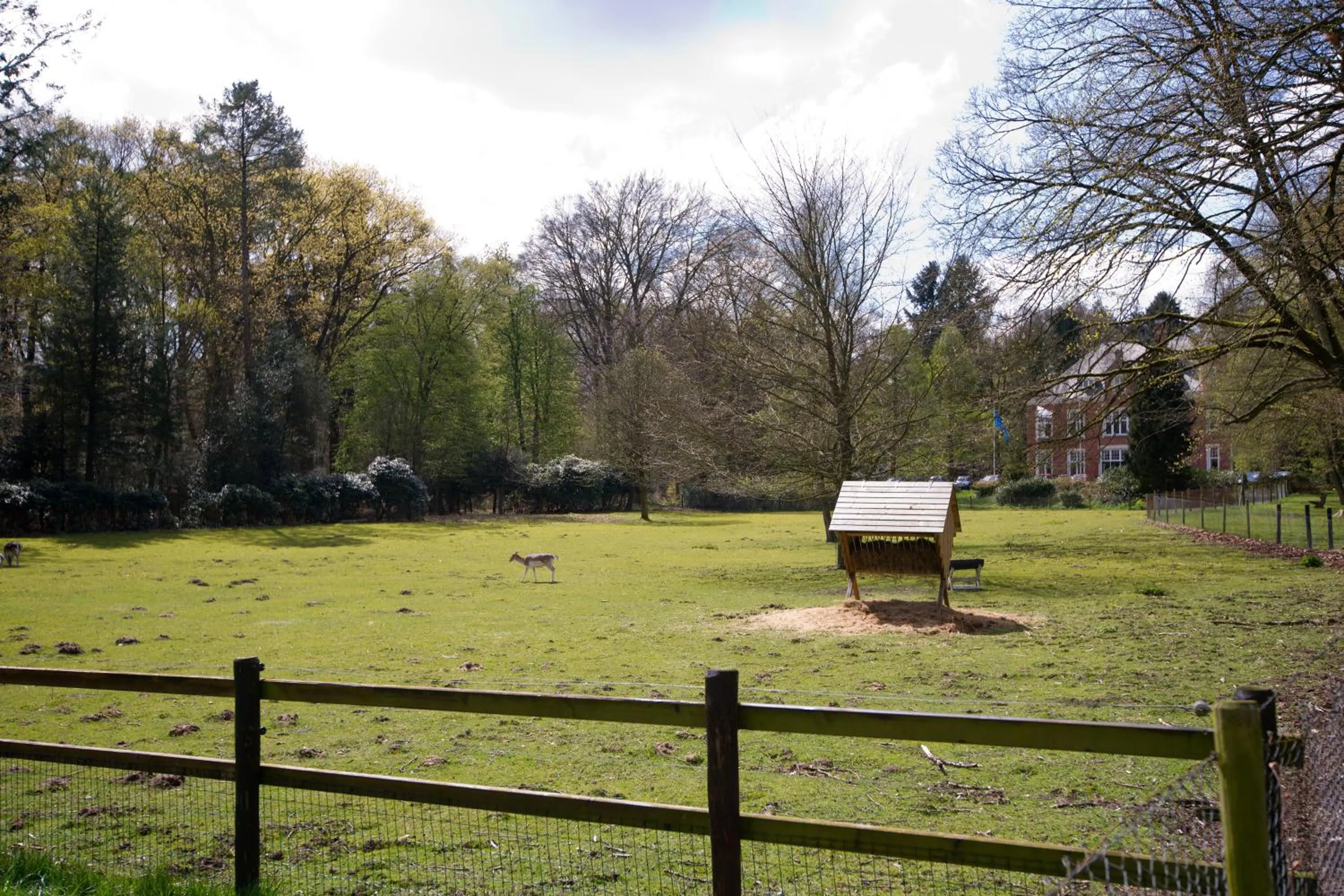 Garden view in Hotel Spelderholt