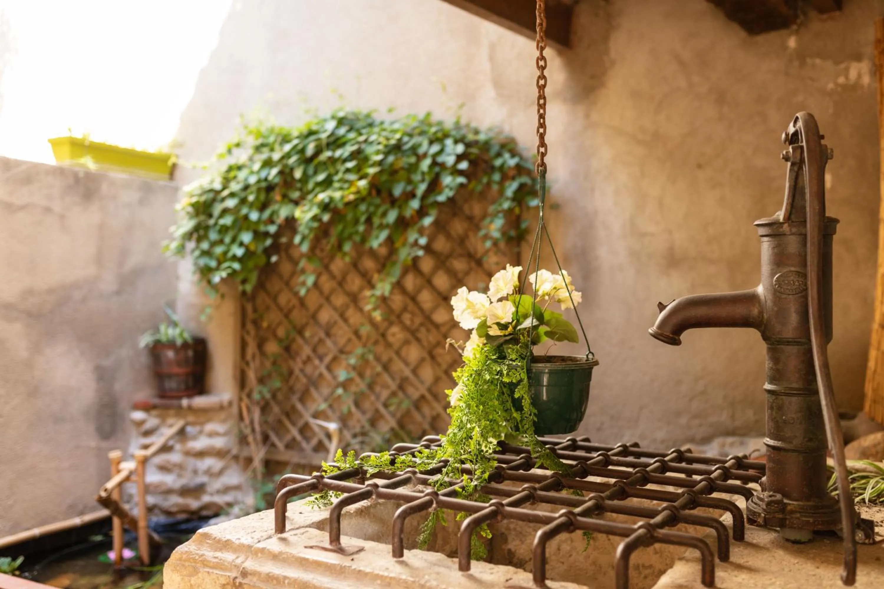 Garden in La Tour Du Terroir