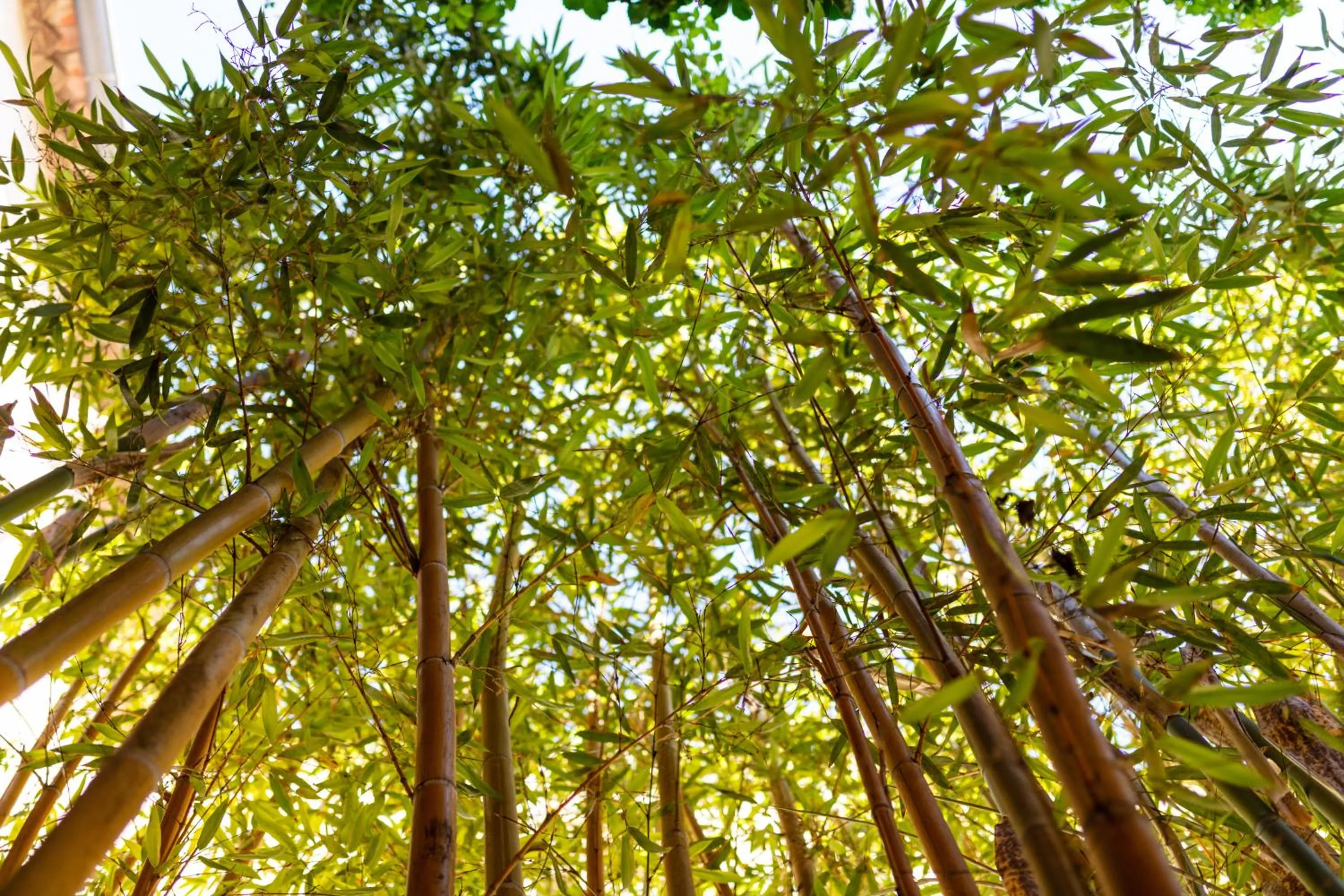 Garden in La Tour Du Terroir
