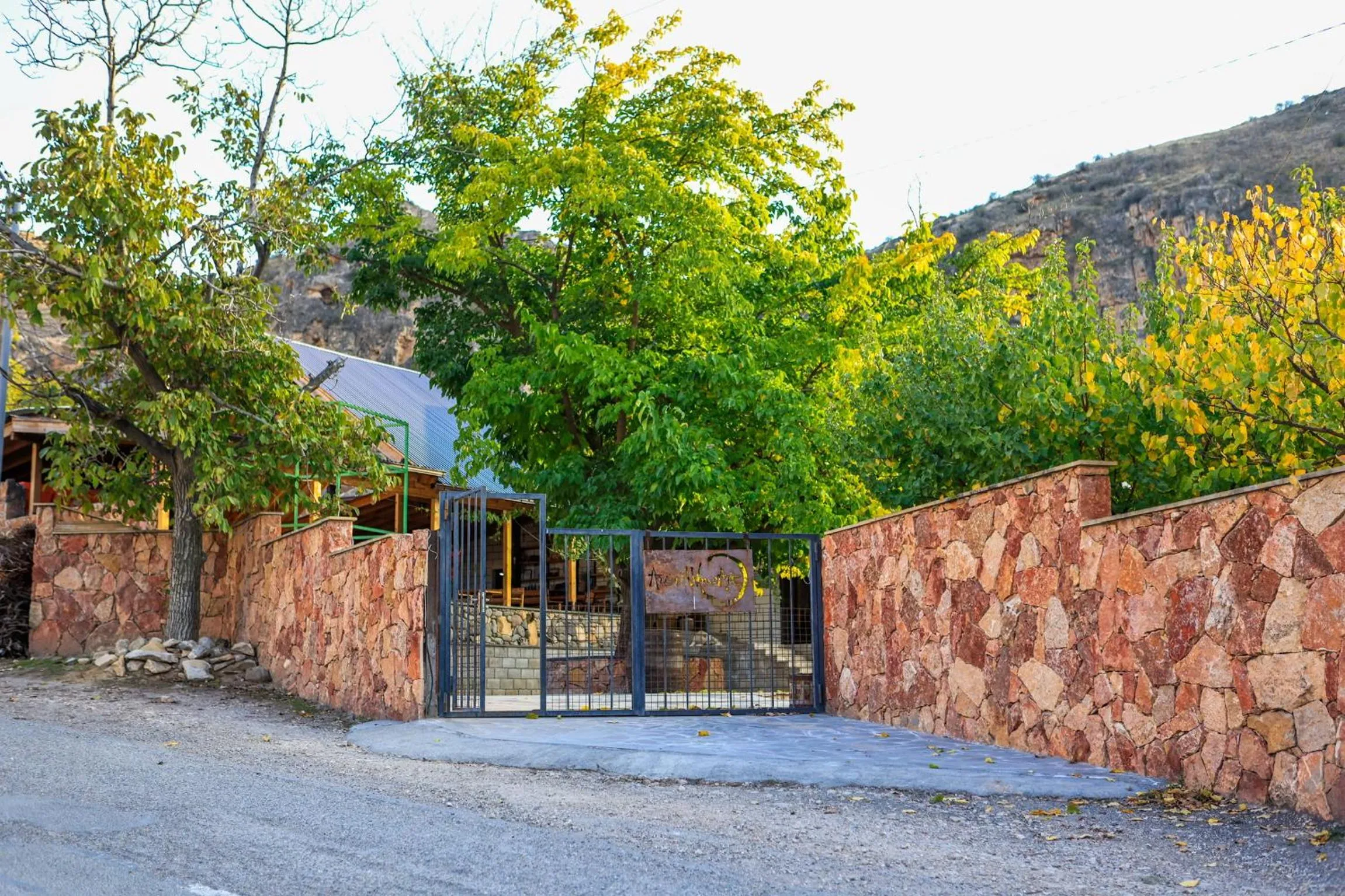 Garden in Areni Wine Art