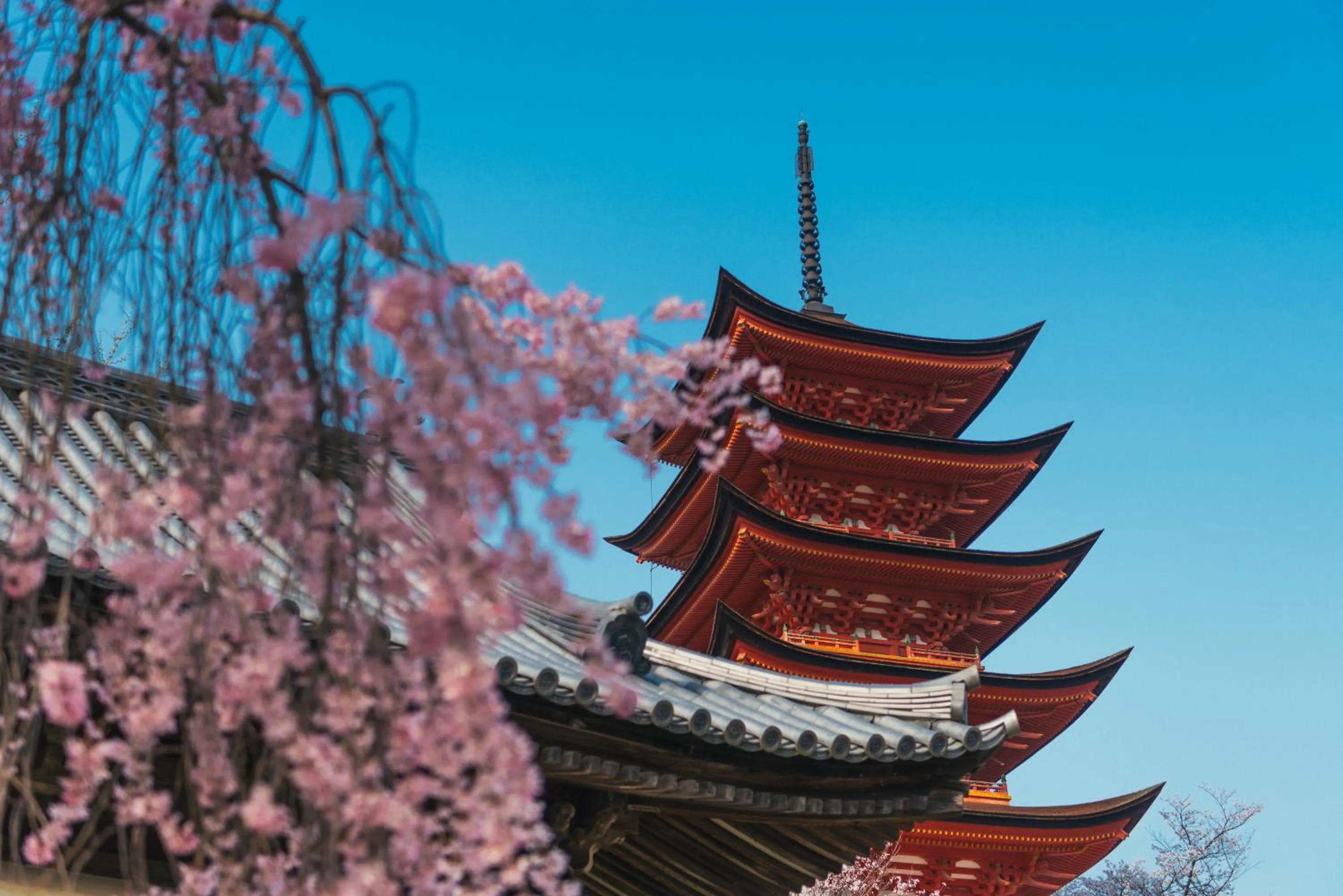 Nearby landmark in The Evergreen Hostel 長期ステイ歓迎 エバーグリーンホステル