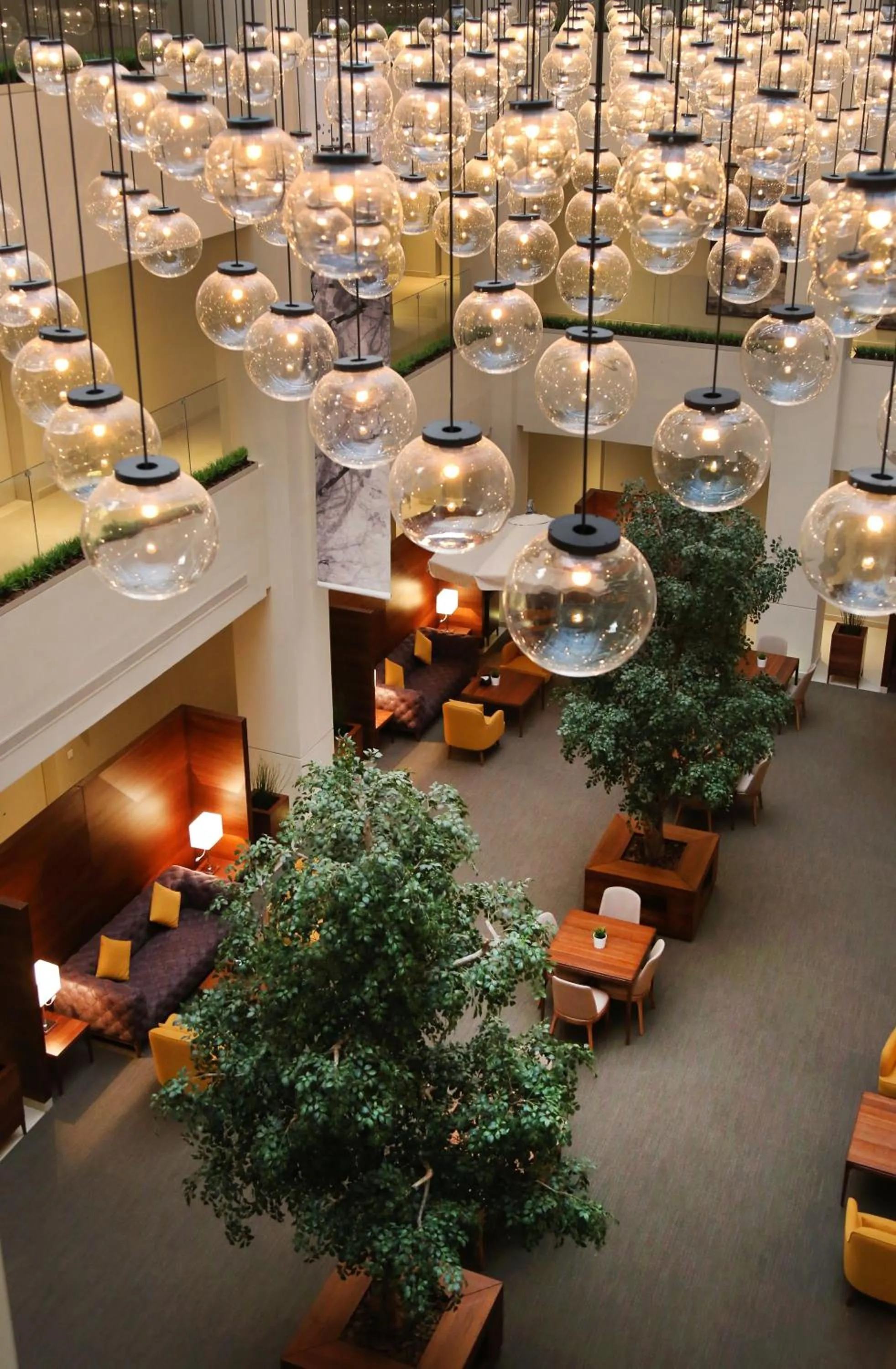 Area and facilities in Rafa - Al Nuzhah