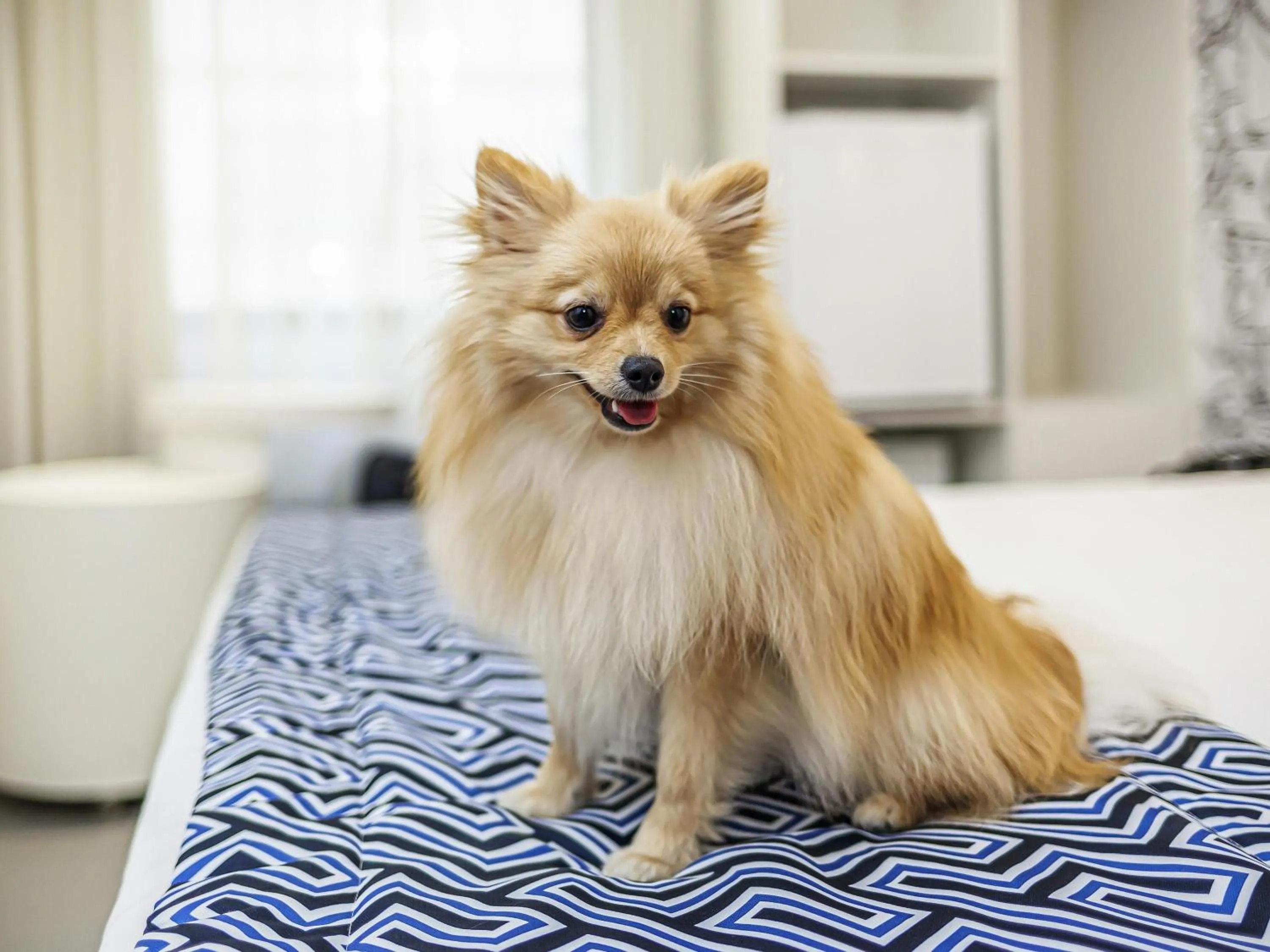 Other in ibis Styles Rio de Janeiro Botafogo