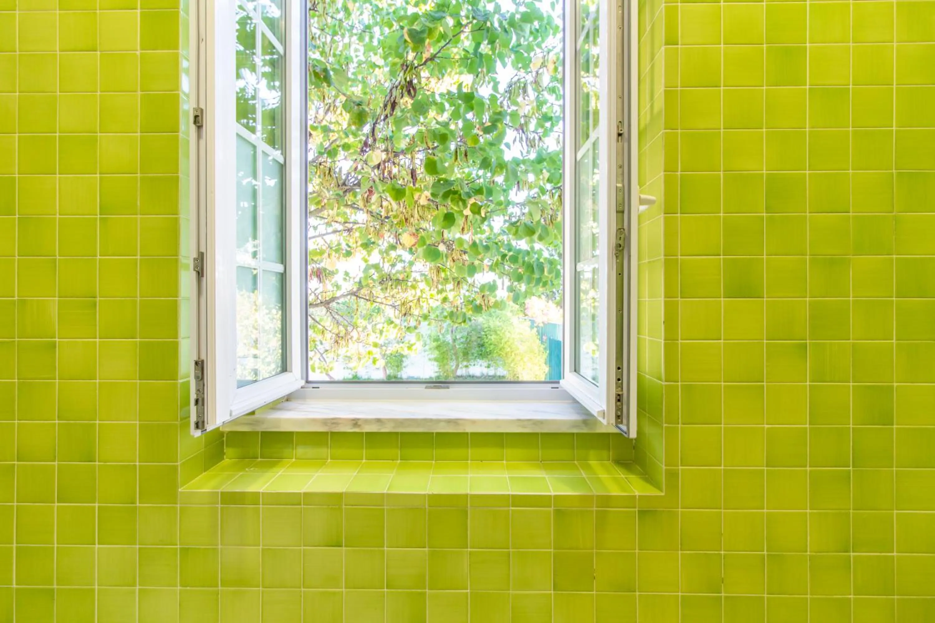 Garden view in HOTEL LOUSAL Grandola