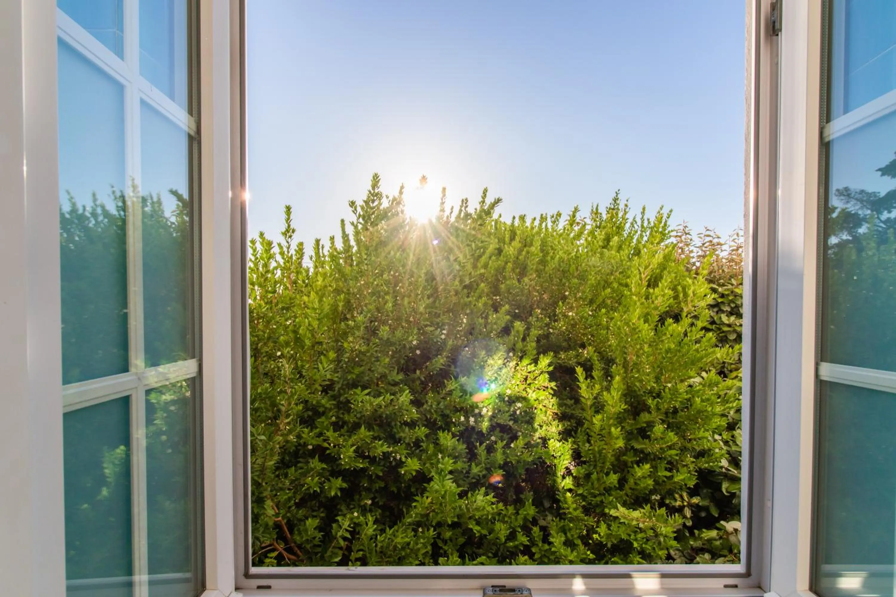 Garden view in HOTEL LOUSAL Grandola
