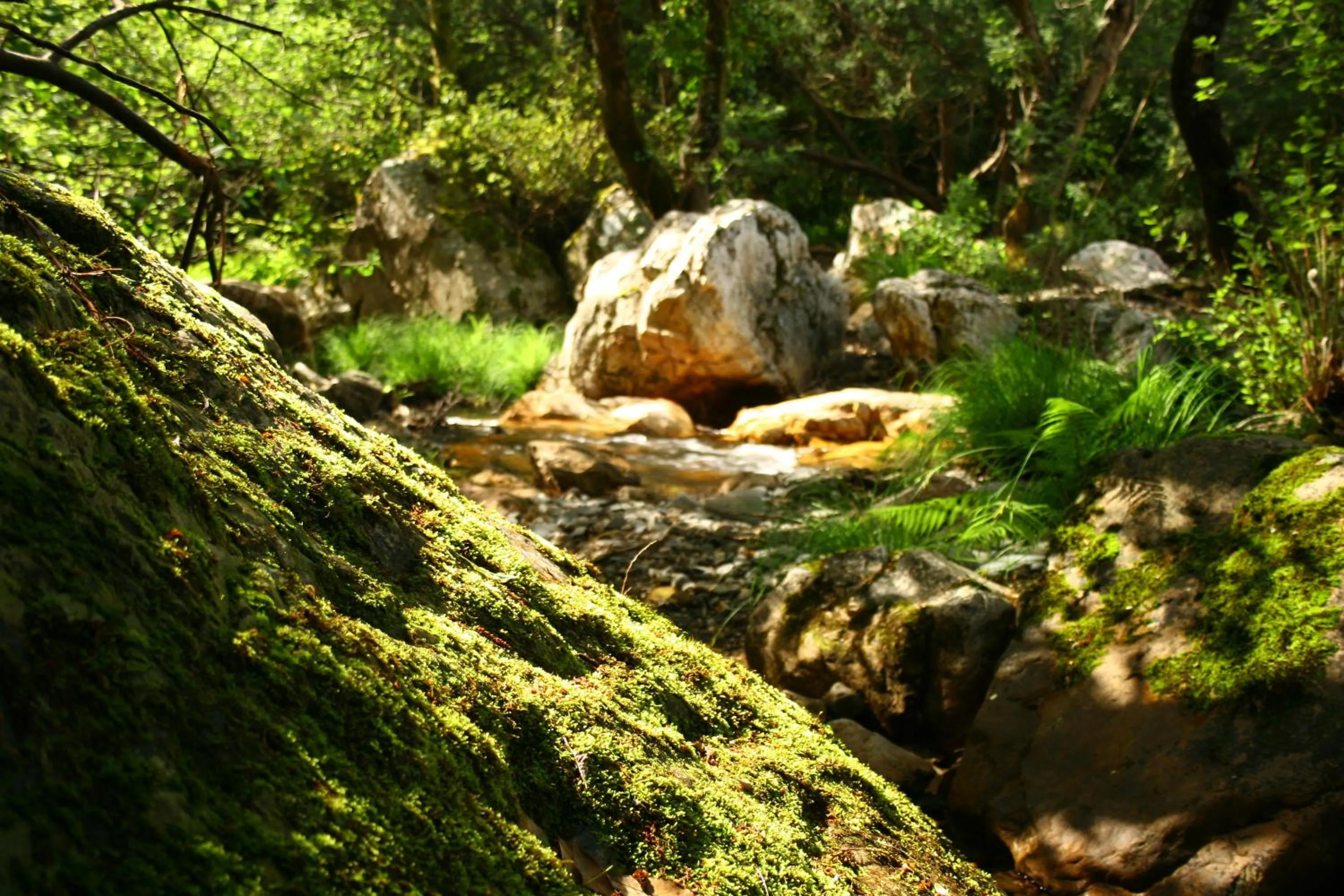 Nearby landmark in Hotel Rural Solar Das Freiras