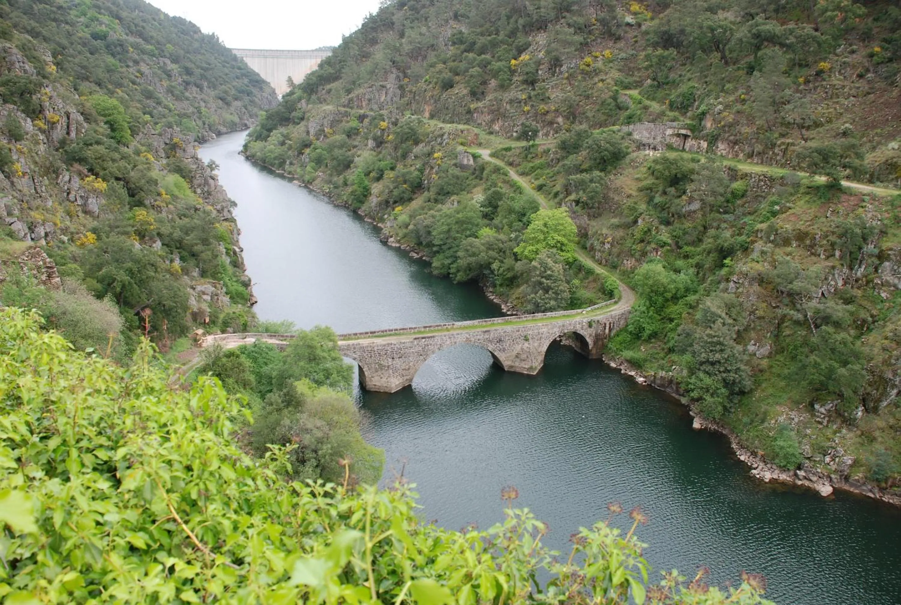 Natural landscape in Hotel Rural Solar Das Freiras
