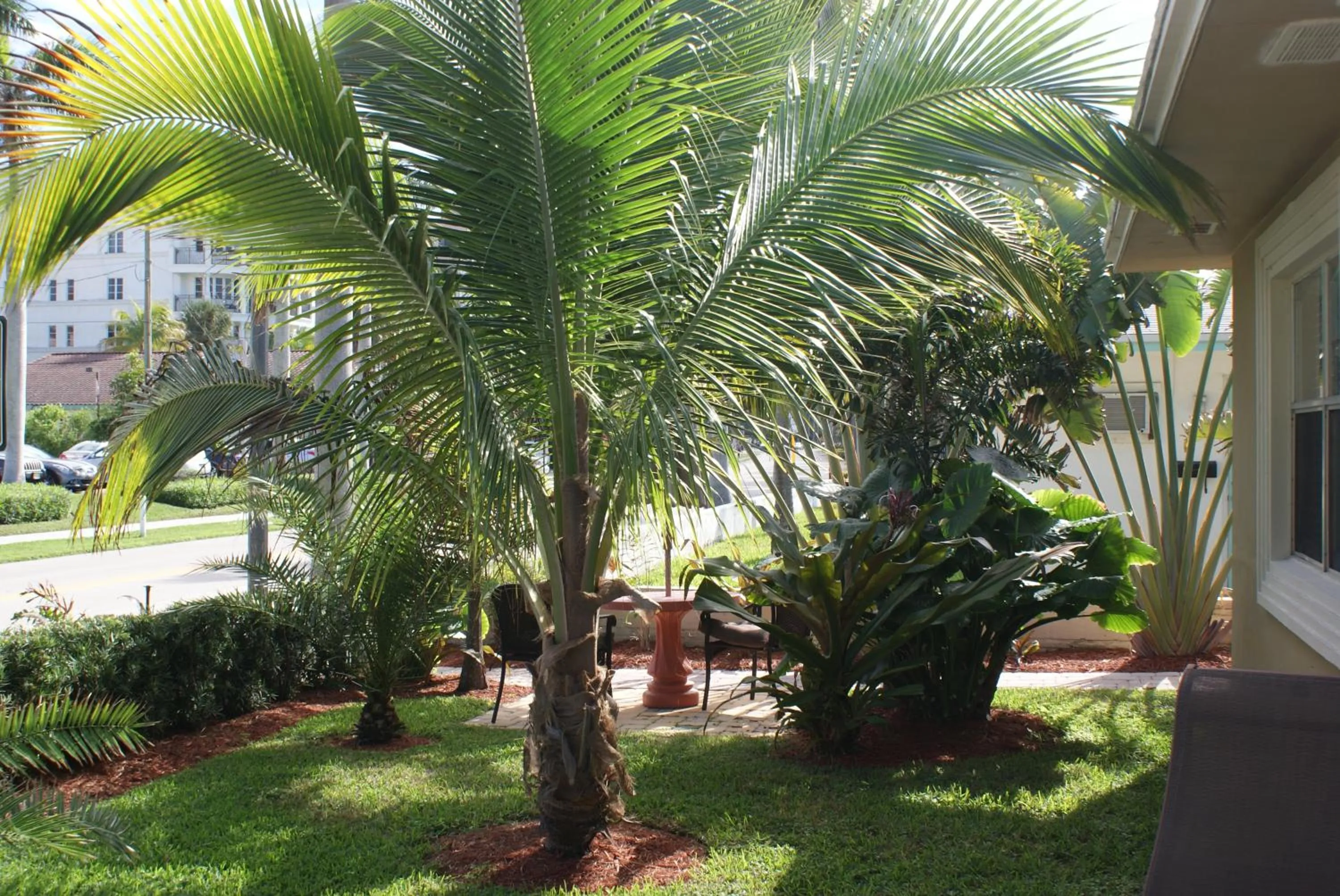 Patio in Atlantic Shores Vacation Villas