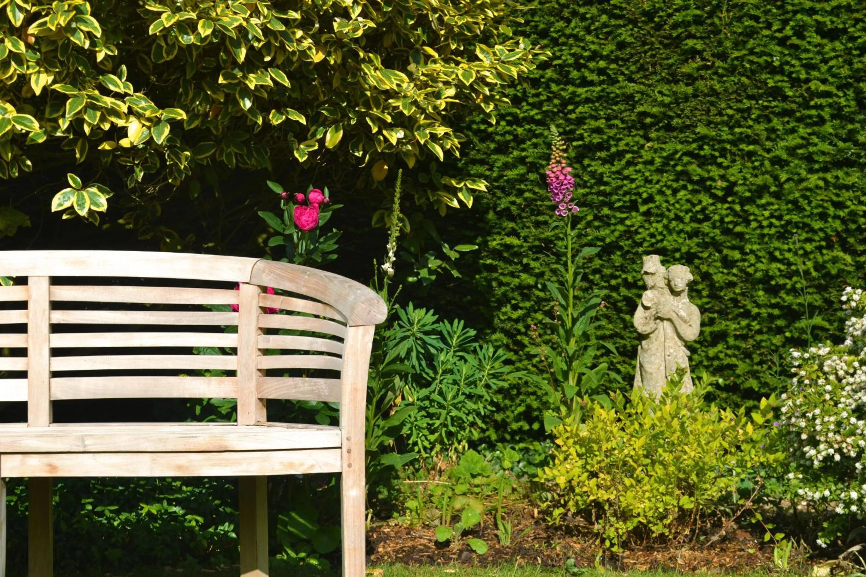 Garden in The Cottage Guest House