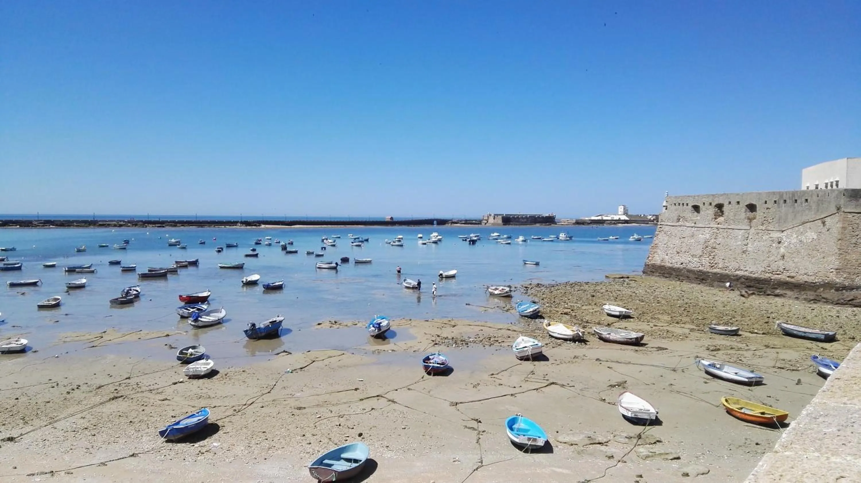 Beach in Apartamentos Maier