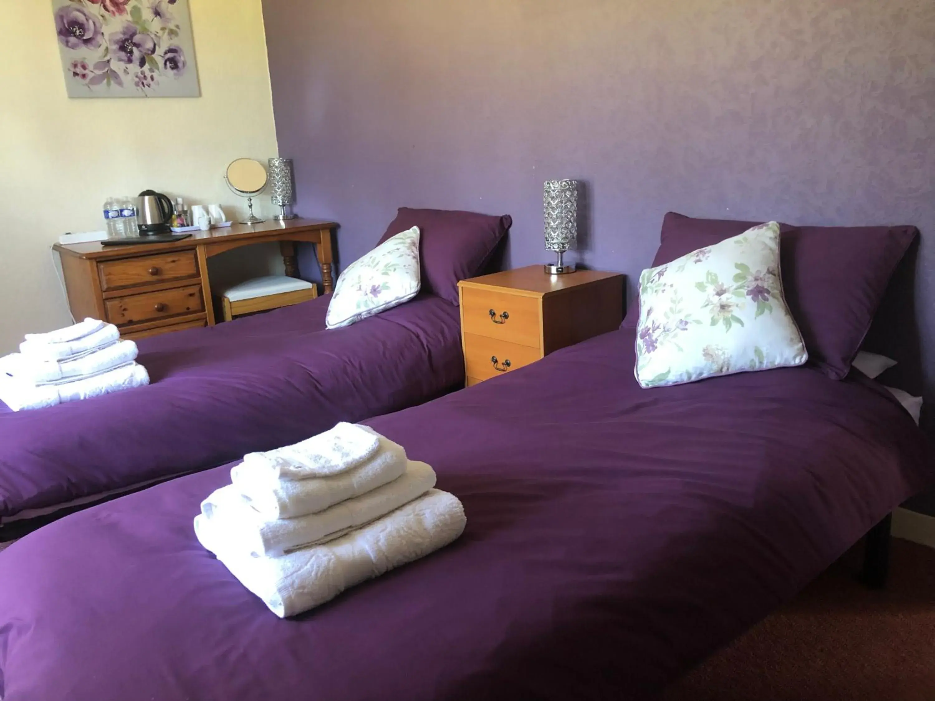 Large Twin Room - single occupancy in Le Grand Camelia Large Twin Room - single occupancy in Le Grand Camelia