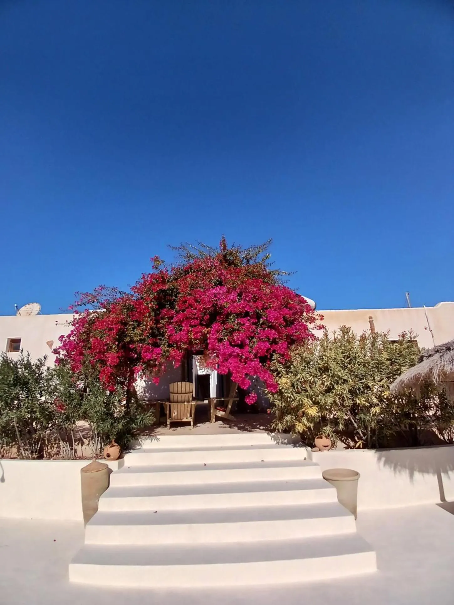 Swimming pool in Menzel Sonia Caja