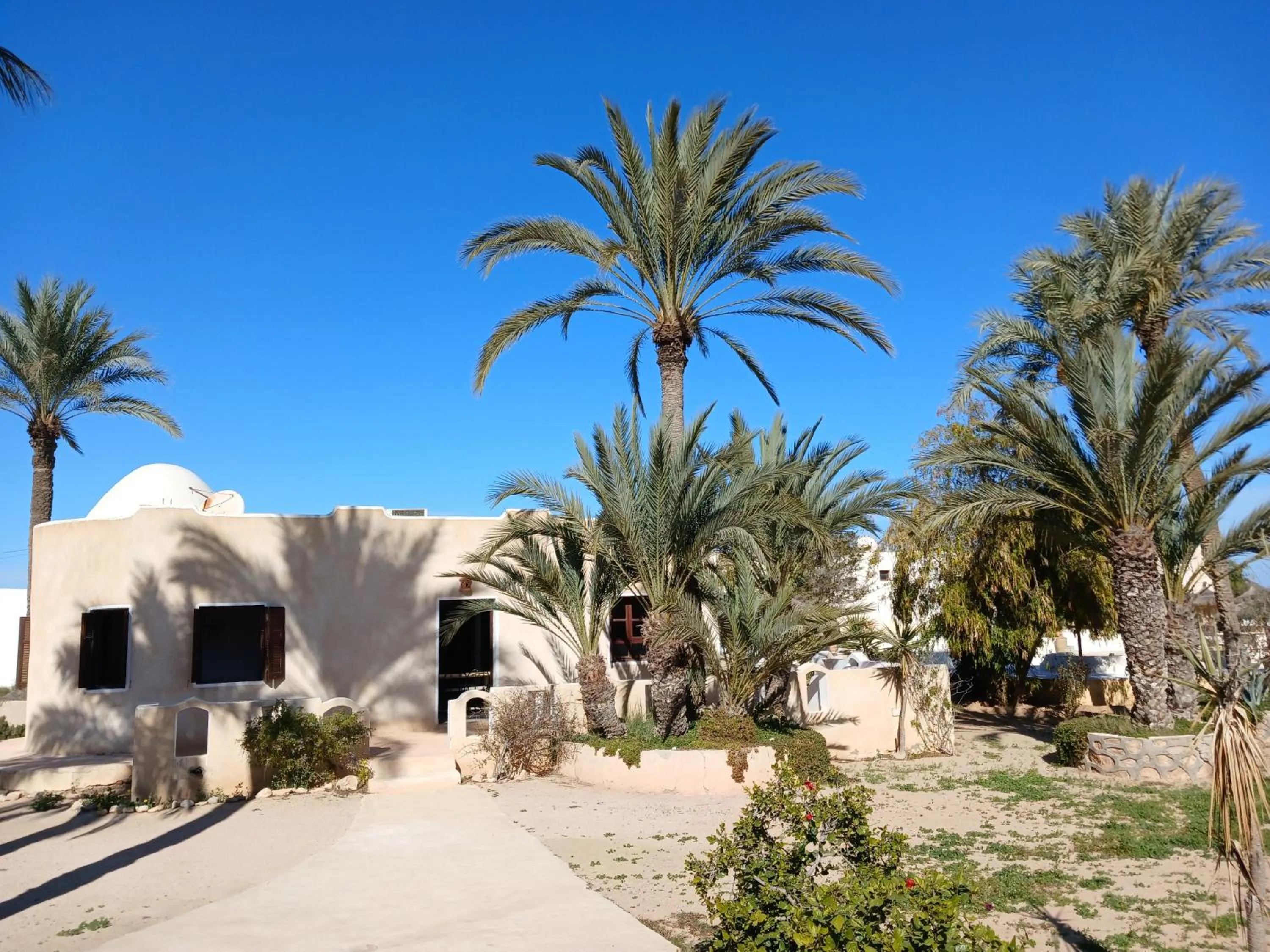 View (from property/room) in Menzel Sonia Caja