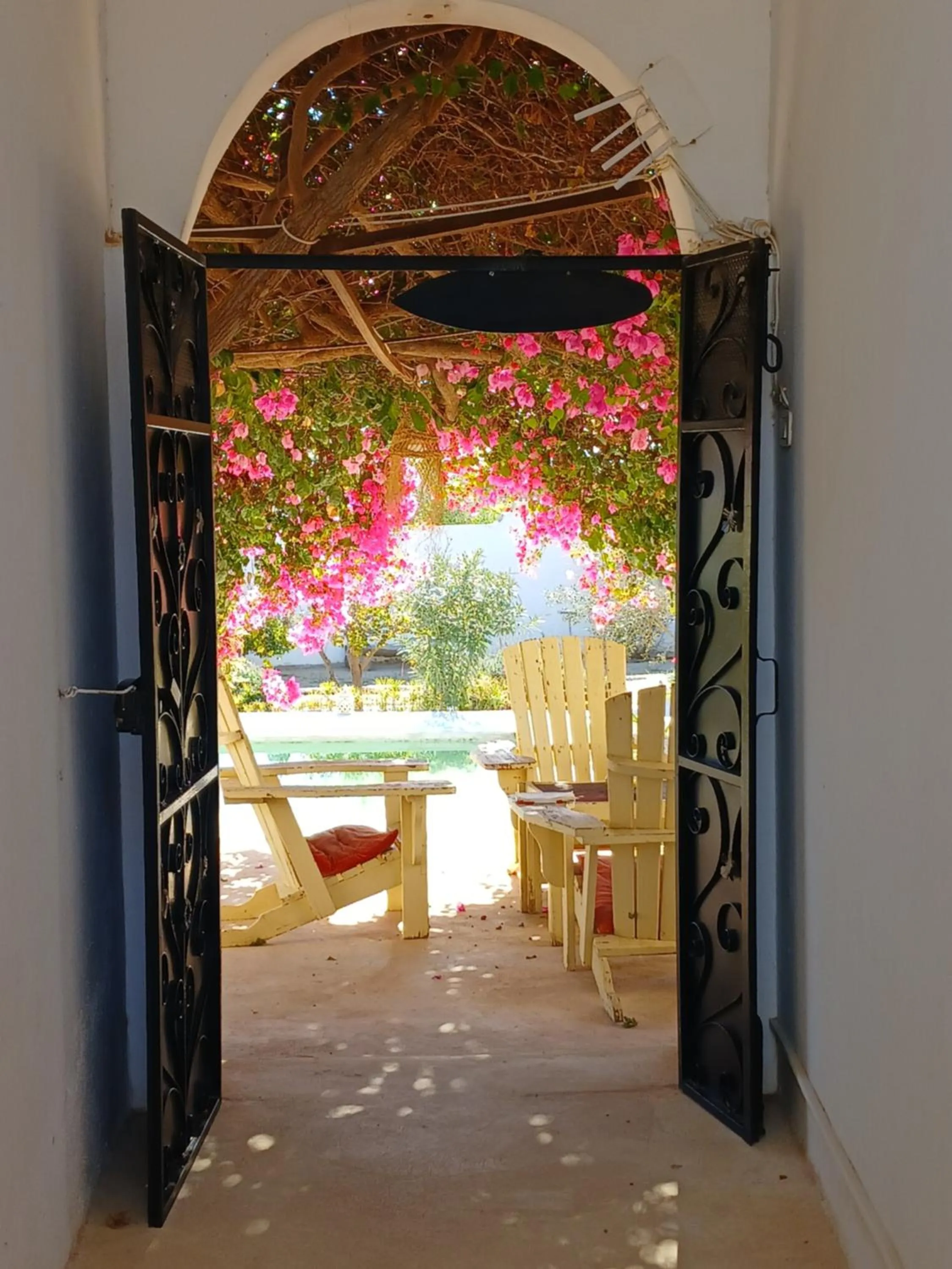 Swimming pool in Menzel Sonia Caja