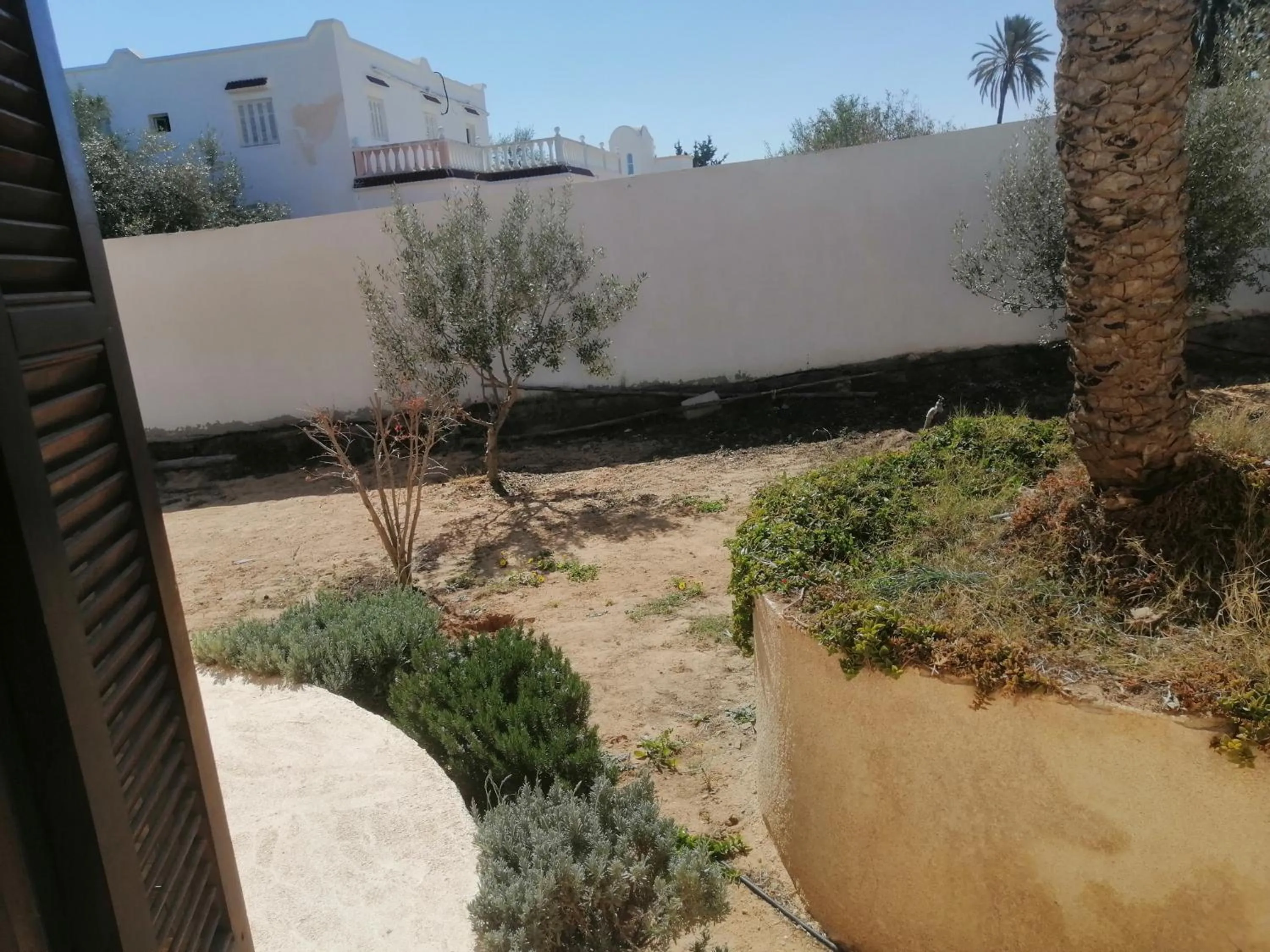 Garden view in Menzel Sonia Caja