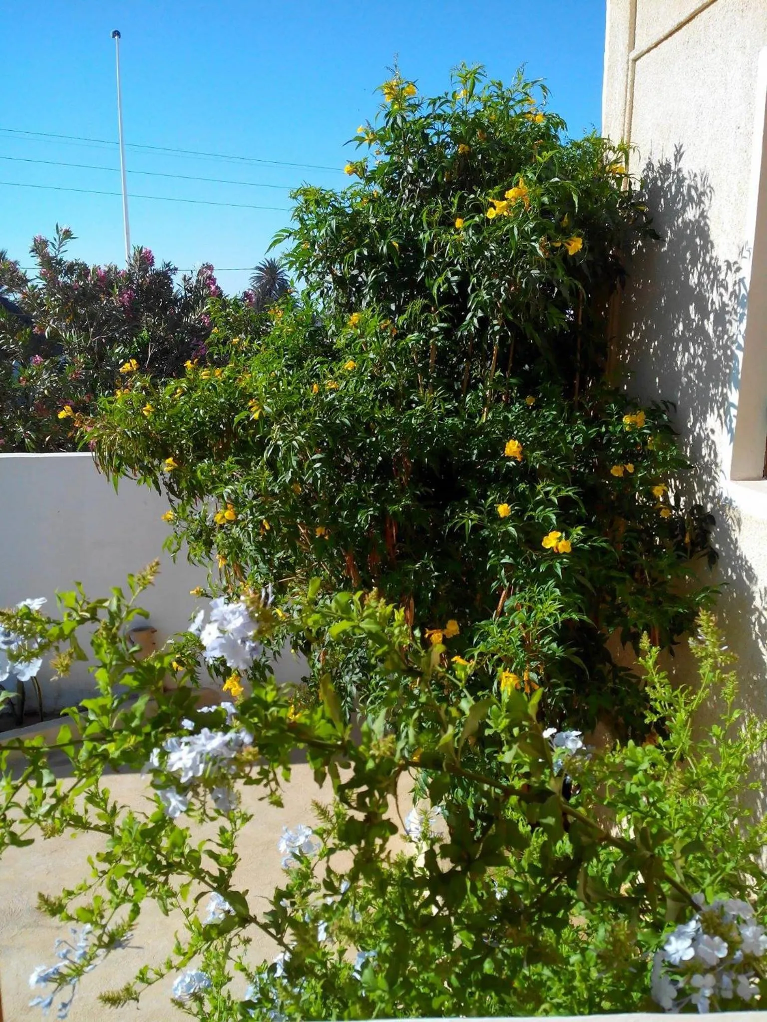 On site in Menzel Sonia Caja