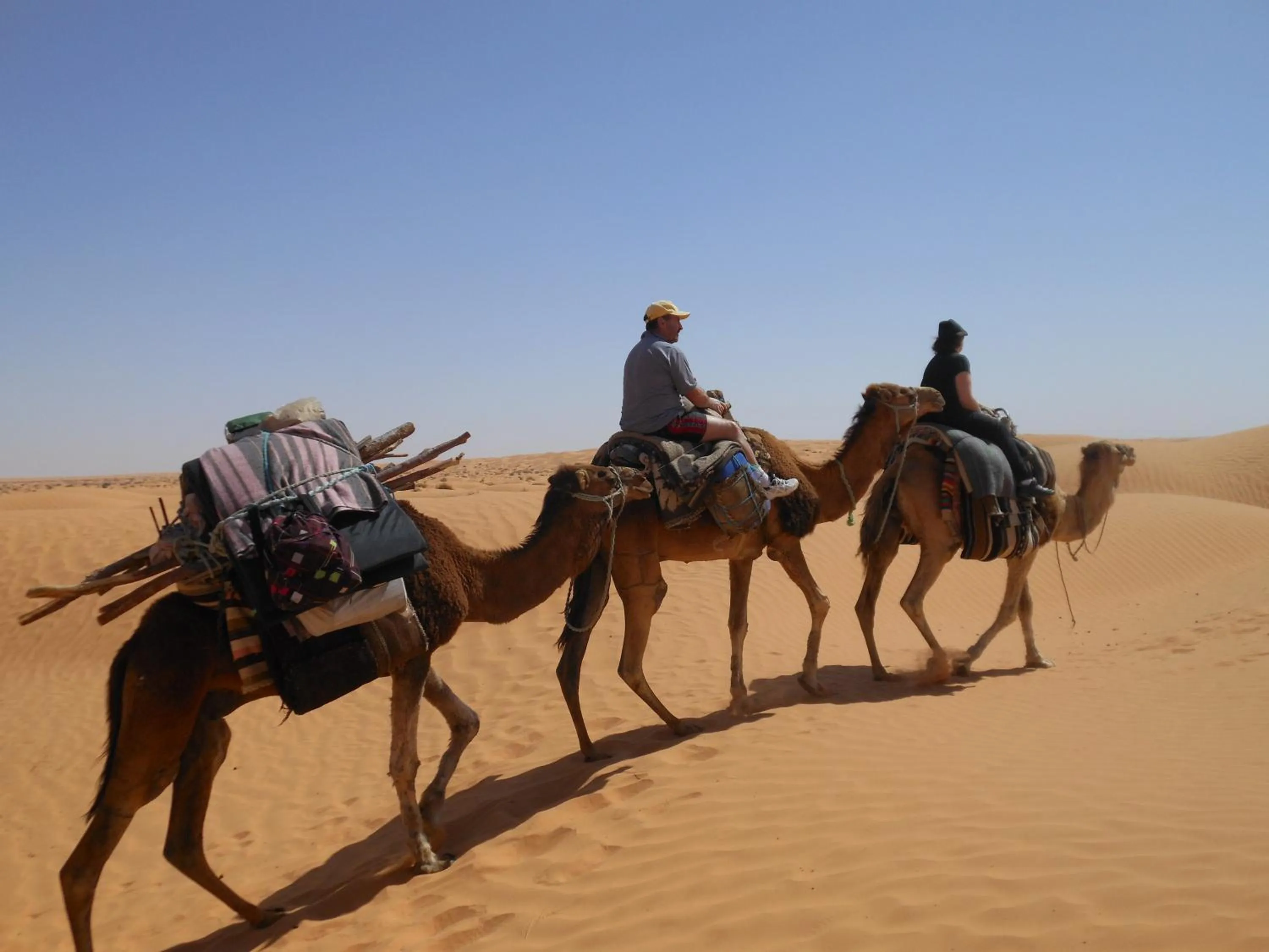 Animals in Menzel Sonia Caja