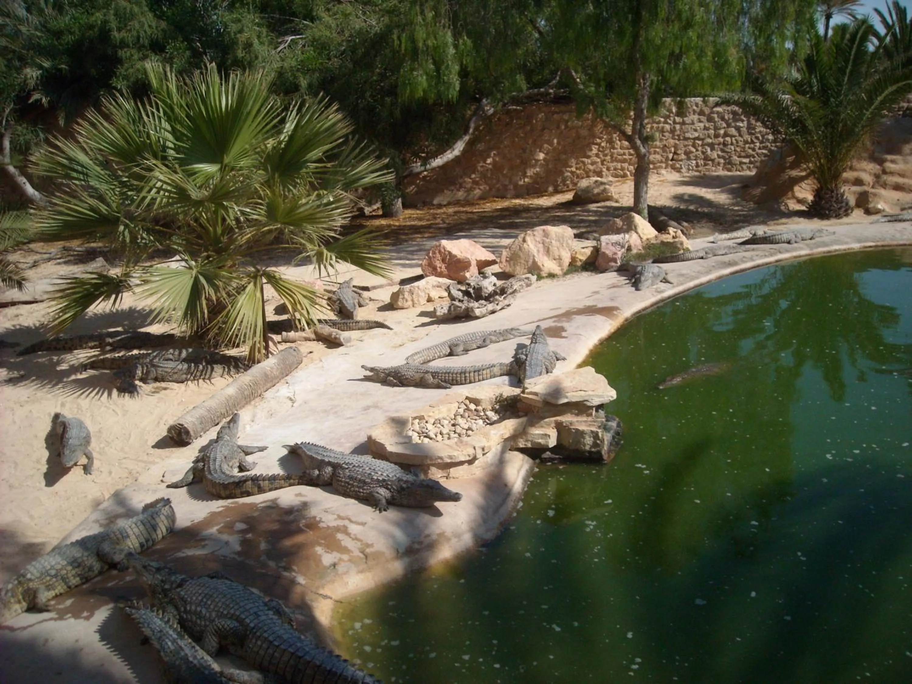 Natural landscape in Menzel Sonia Caja