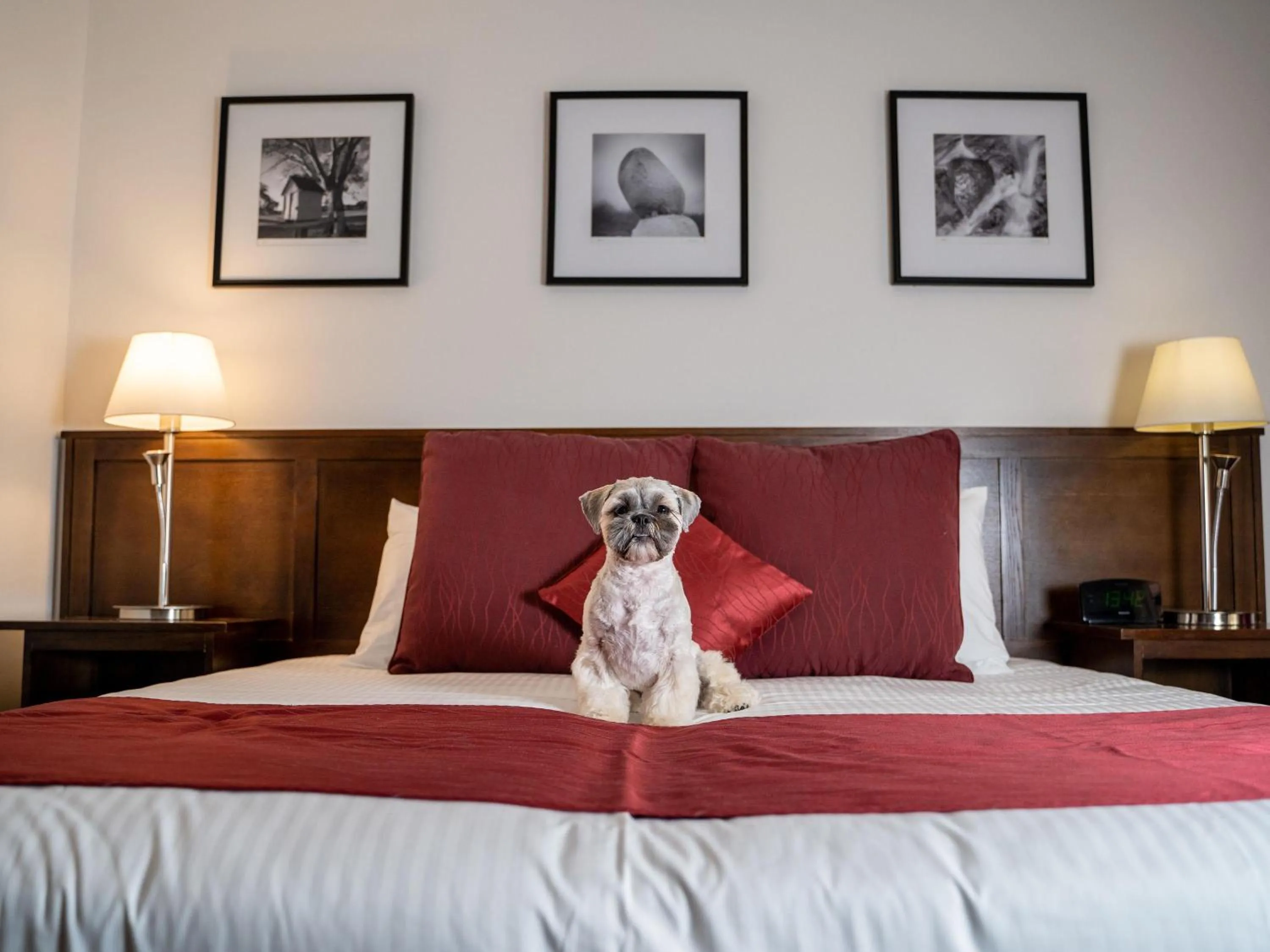 Bedroom, Bed in Mercure Canberra