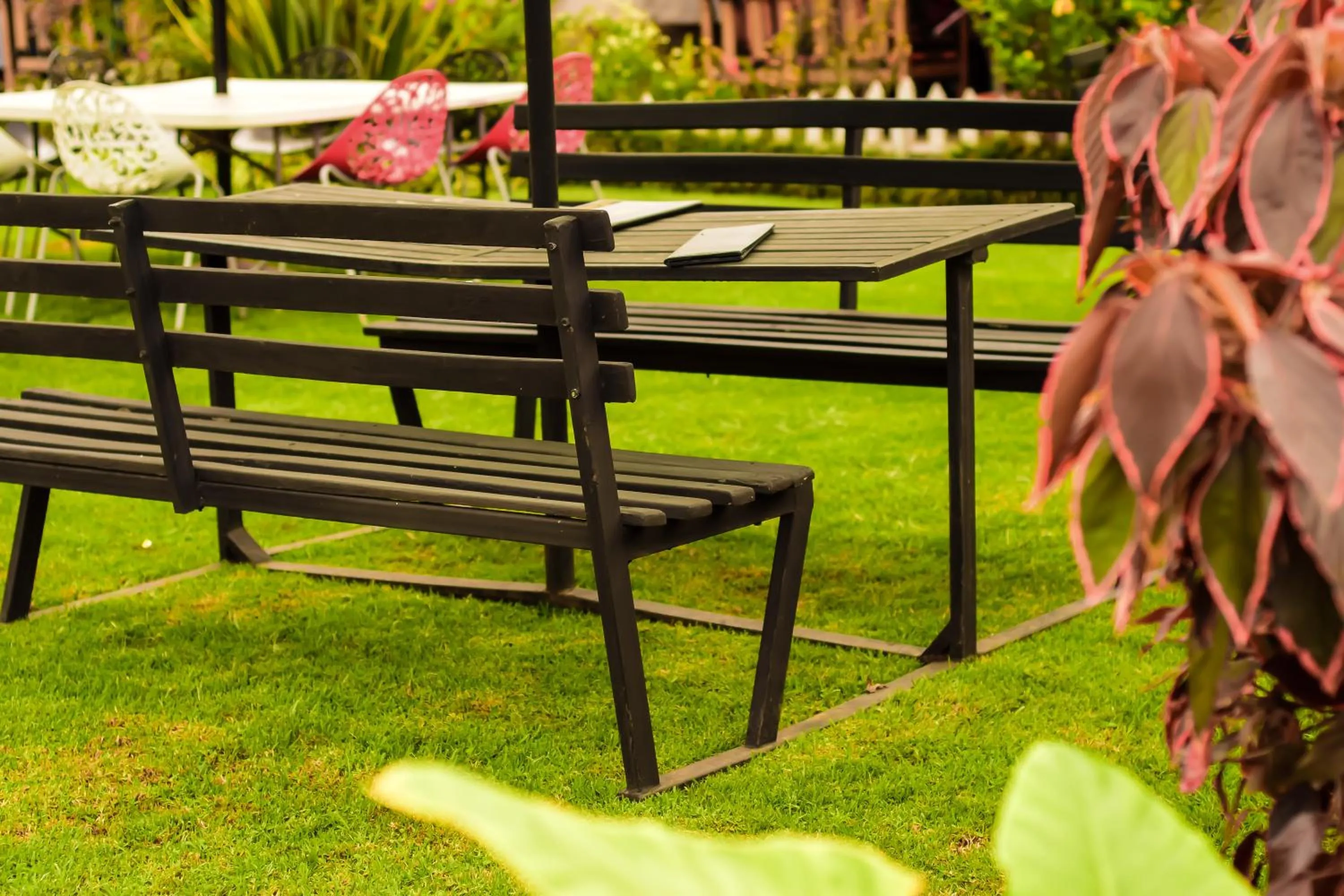Garden in The Smith Hotel