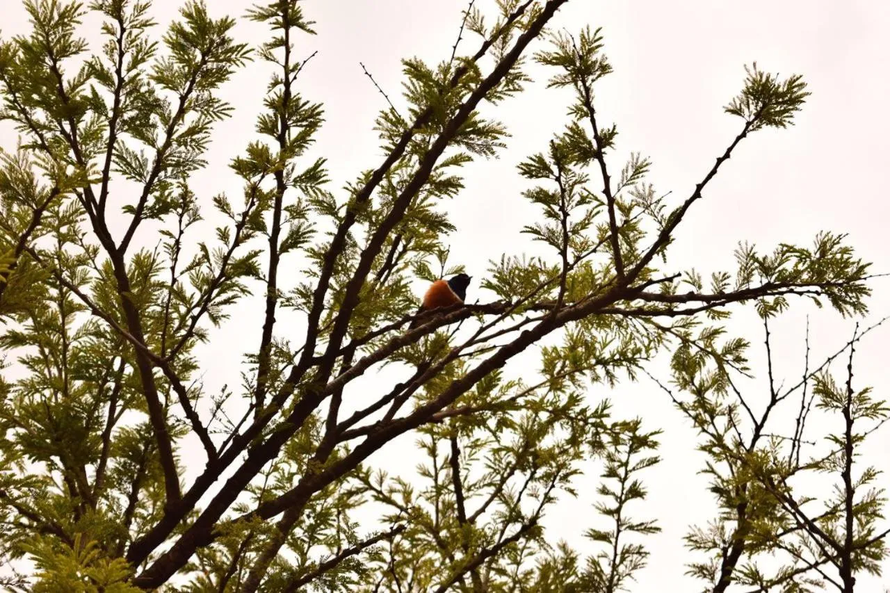 Property building in The Smith Hotel