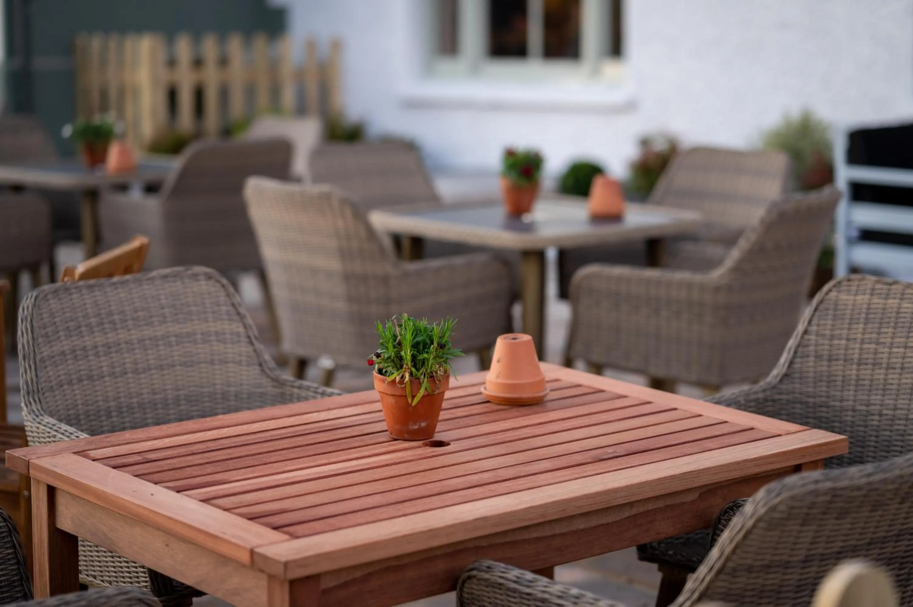 Restaurant/places to eat in Berkshire Arms by Chef & Brewer Collection