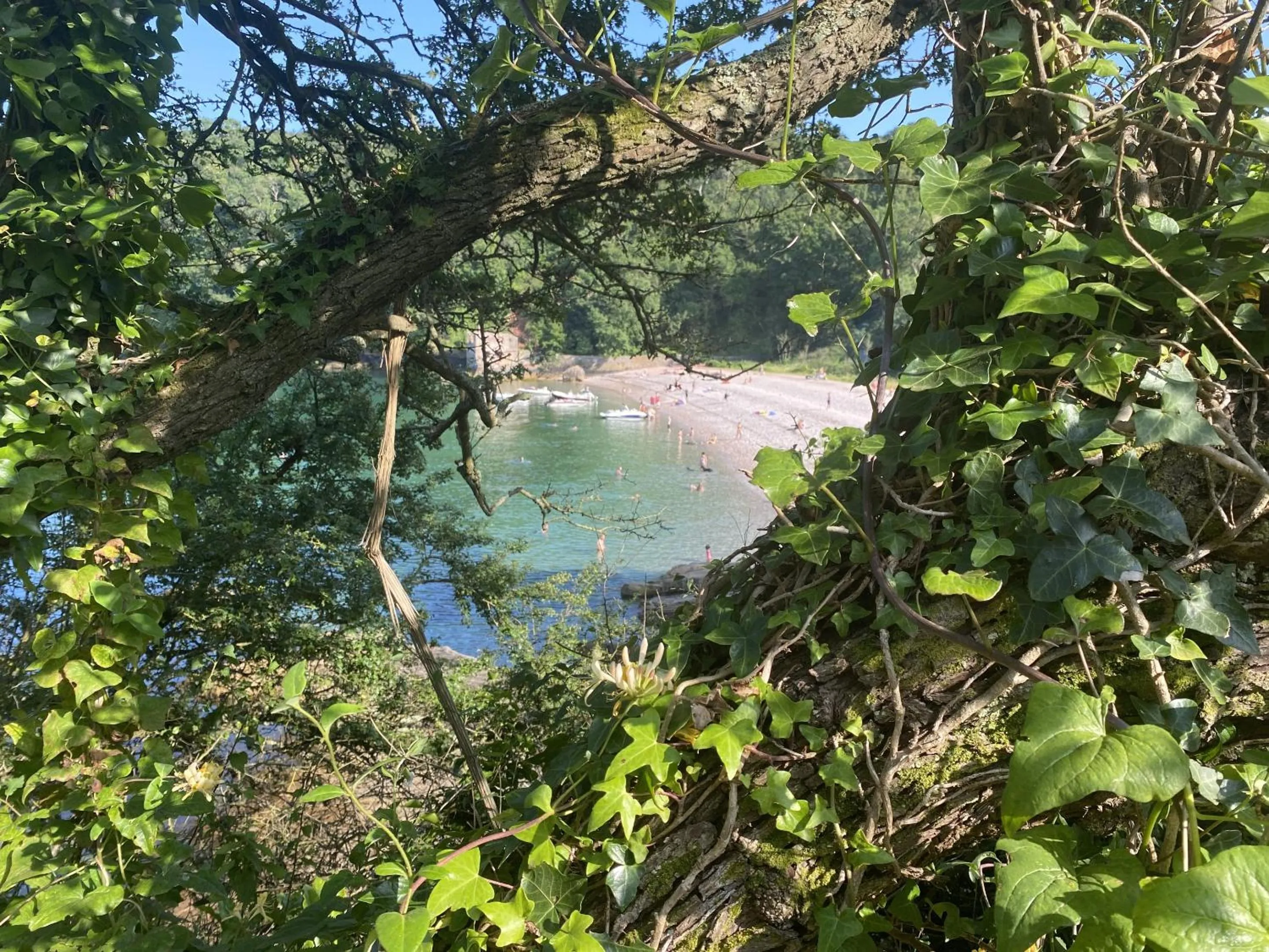 Neighbourhood in Abingdon House