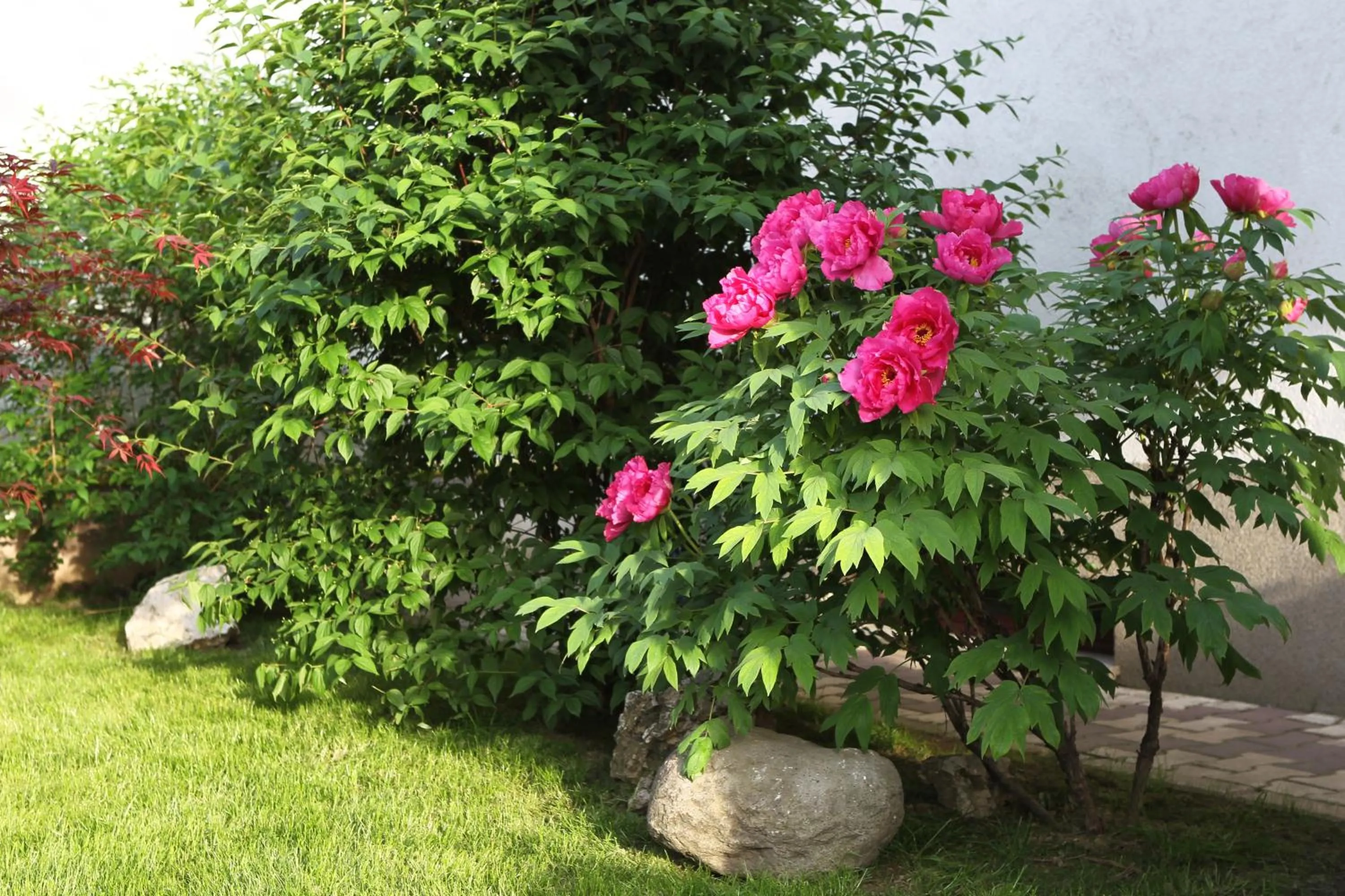 Decorative detail in Hotel Jasmine