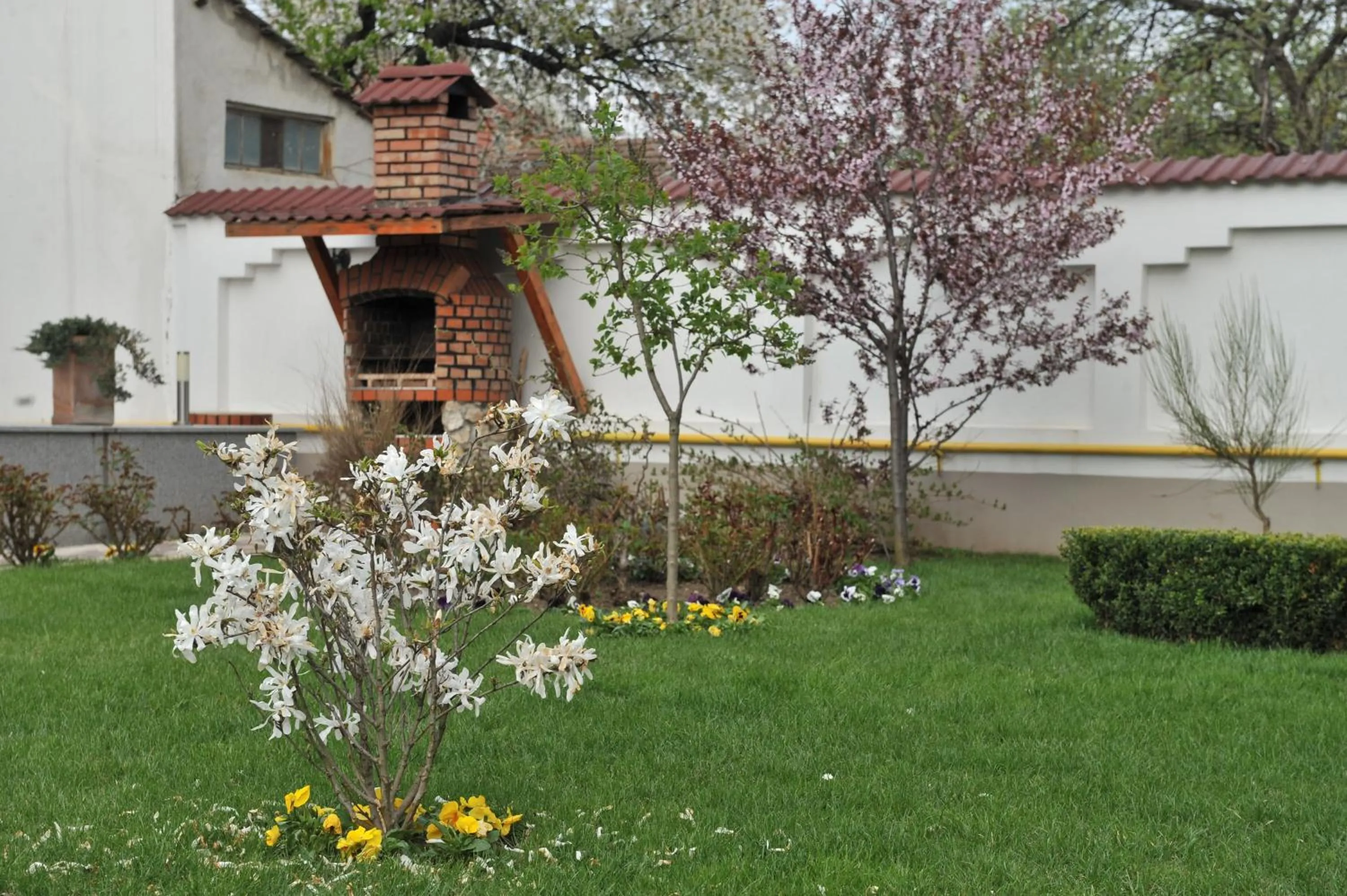 Garden in Hotel Jasmine
