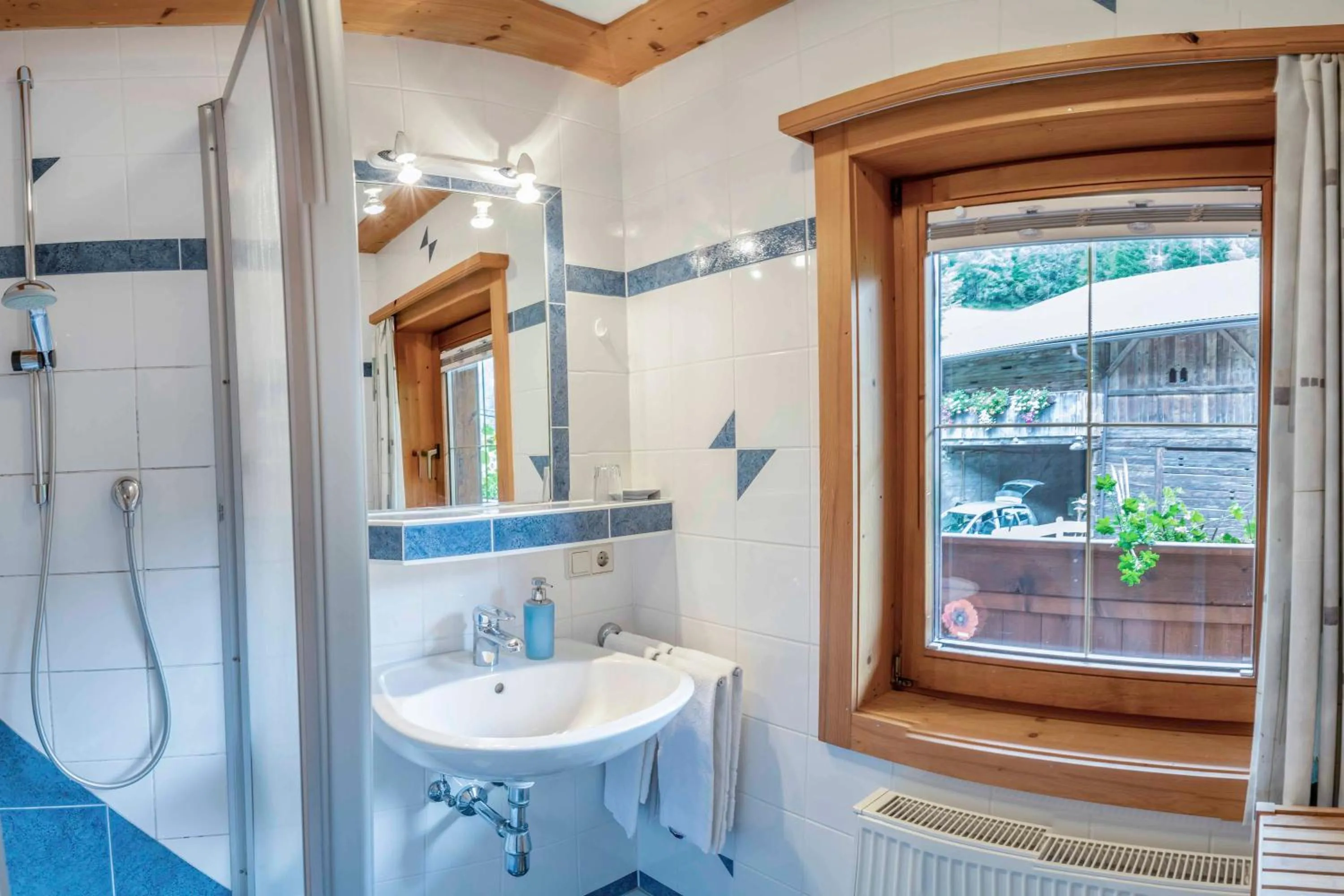 Shower in Ruggenthalerhof