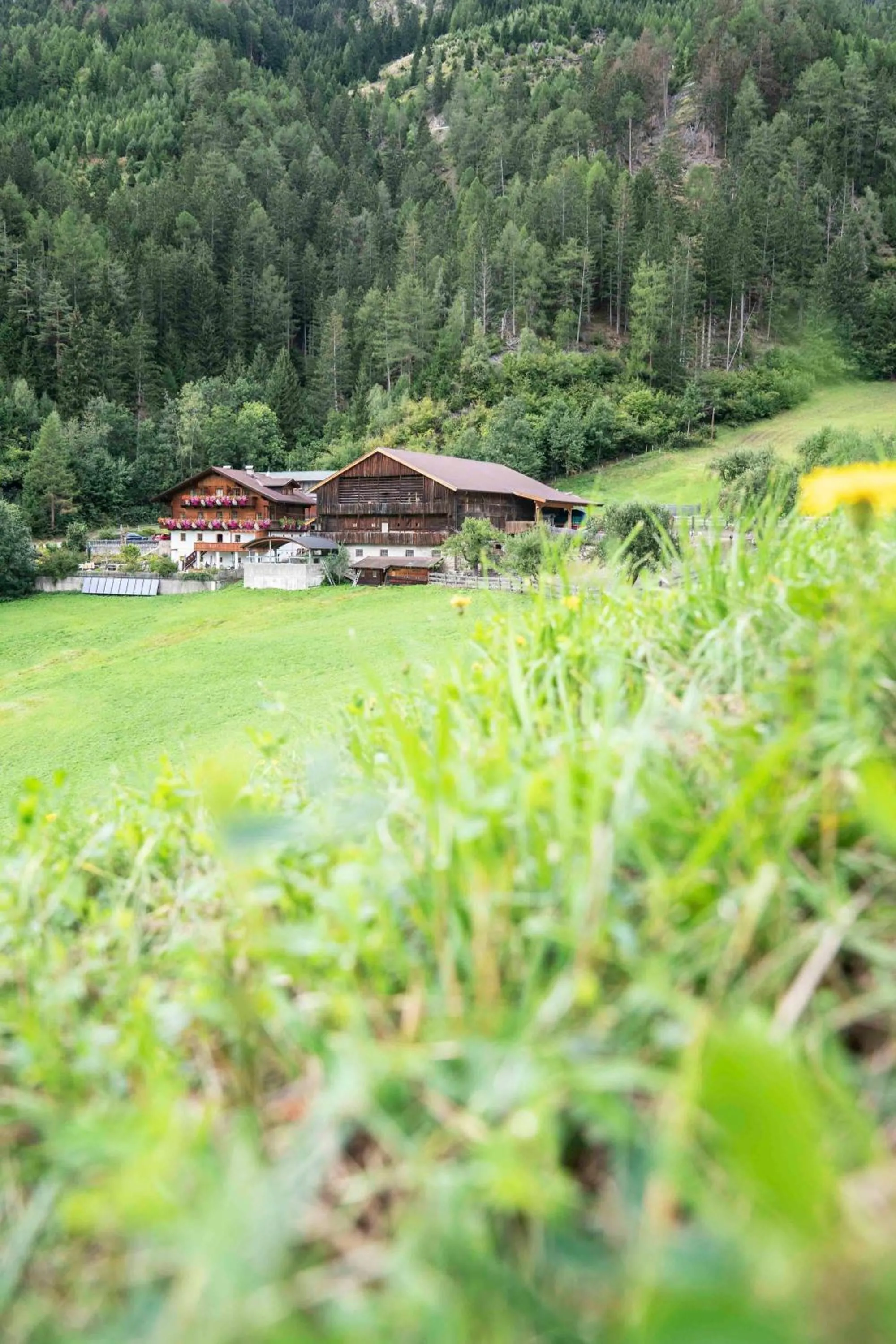 Natural landscape in Ruggenthalerhof