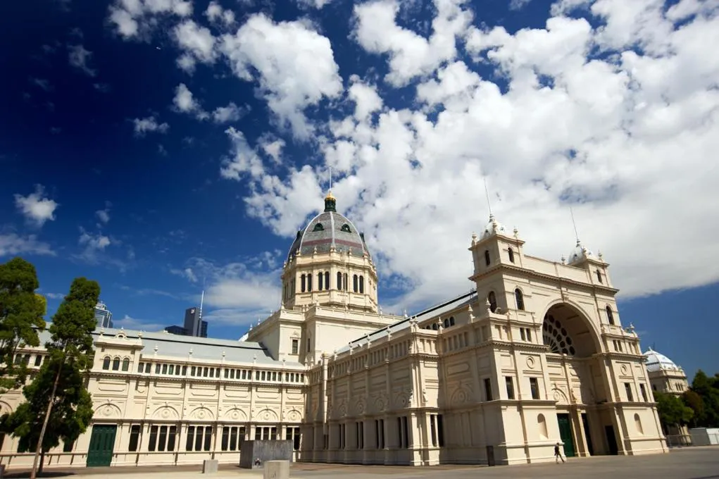 Area and facilities in Comfort Apartments Royal Gardens