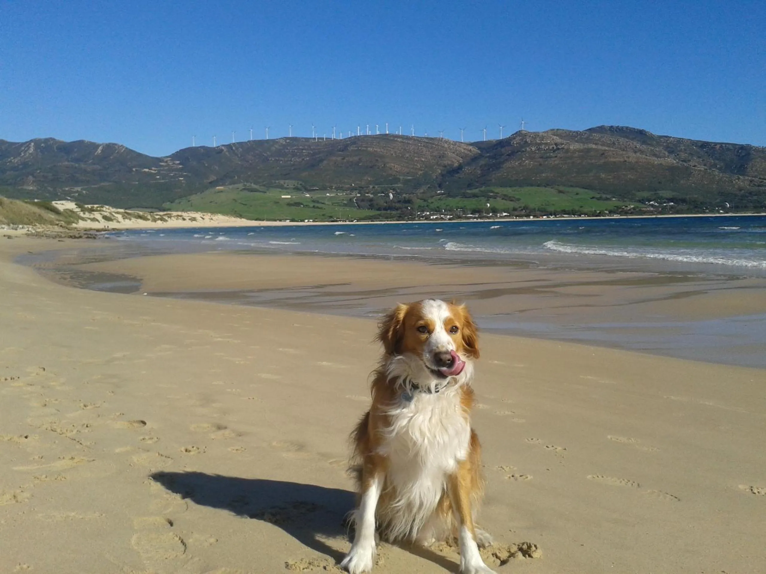 Beach in Hotel-Apart CORTIJO LAS PIÑAS