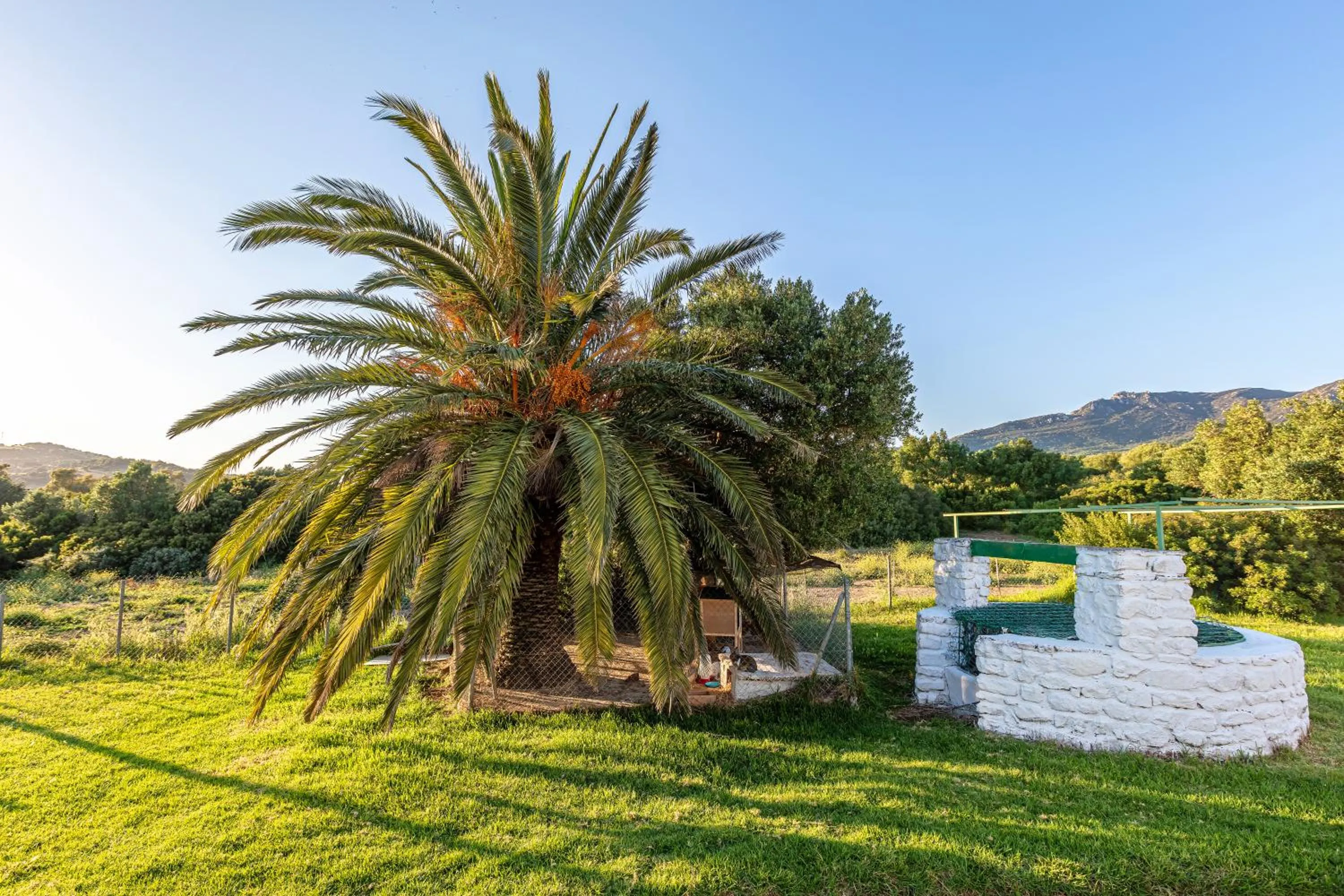 Garden in Hotel-Apart CORTIJO LAS PIÑAS
