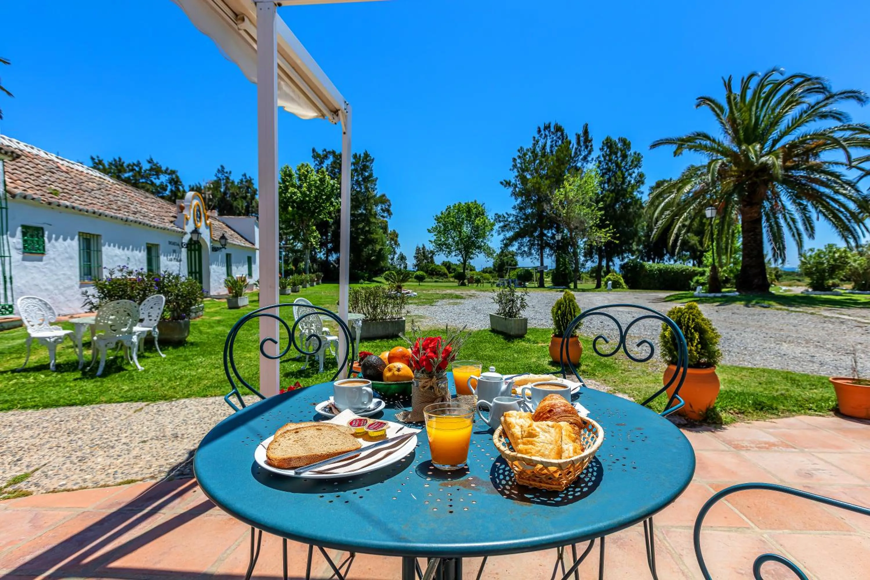 Food and drinks in Hotel-Apart CORTIJO LAS PIÑAS