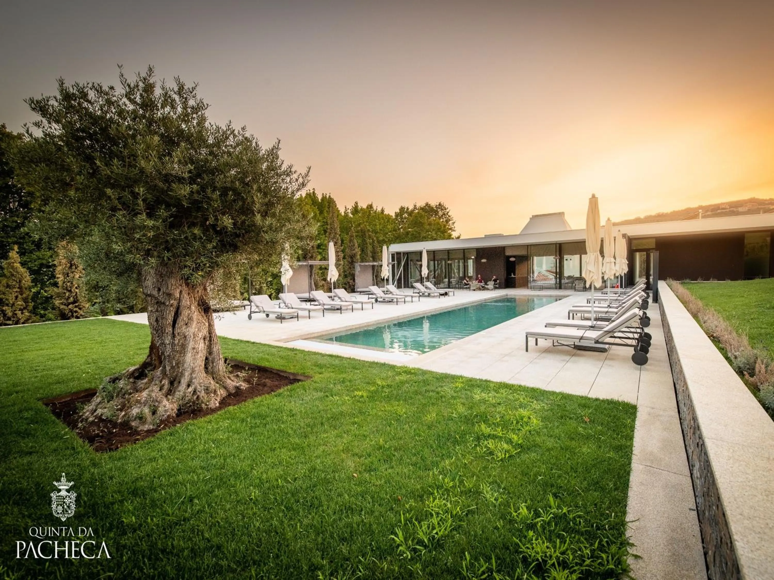 Swimming pool in Pacheca The Wine House Hotel e Spa - Quinta da Pacheca