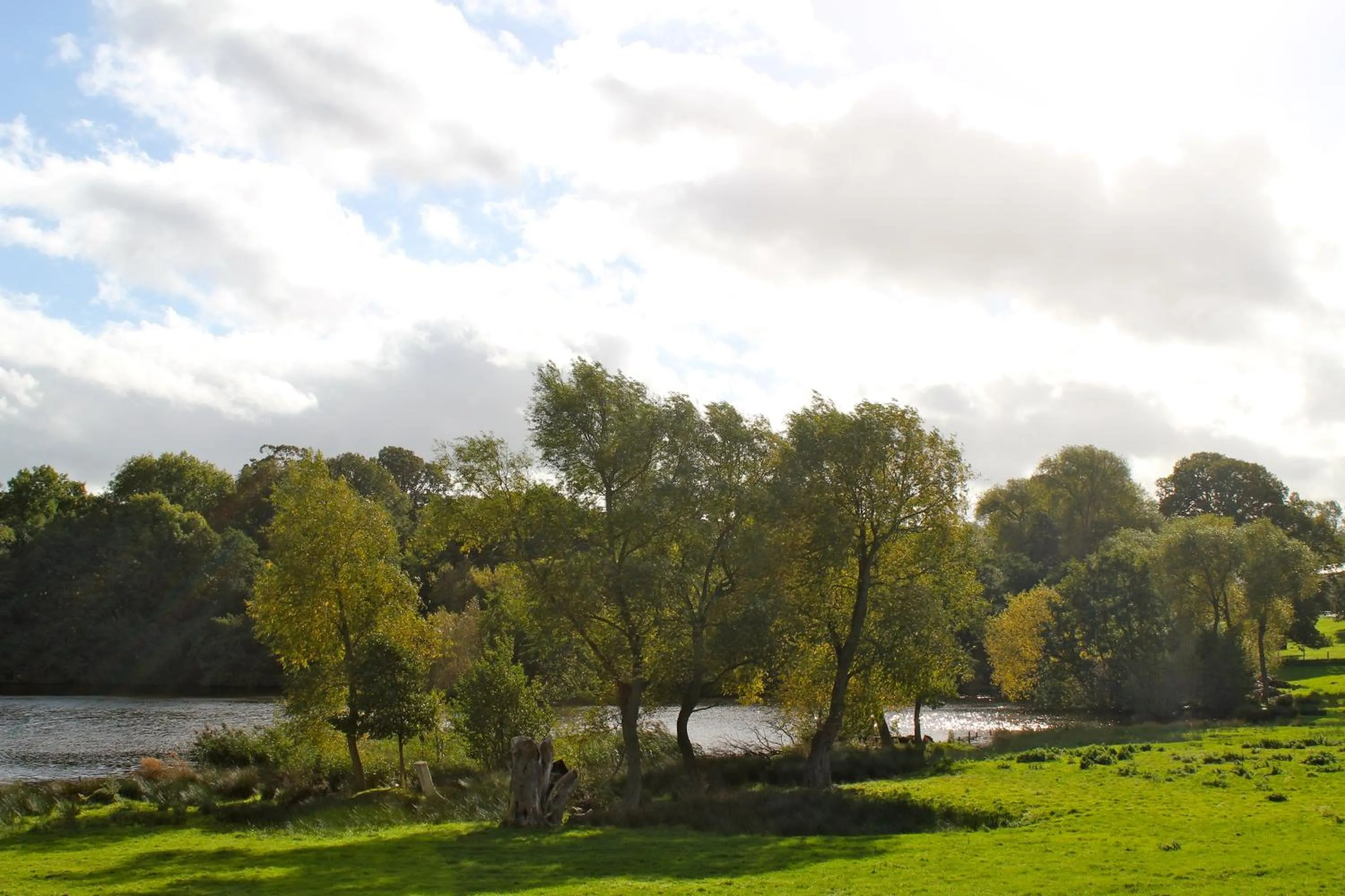 Area and facilities in The Dragon Hotel