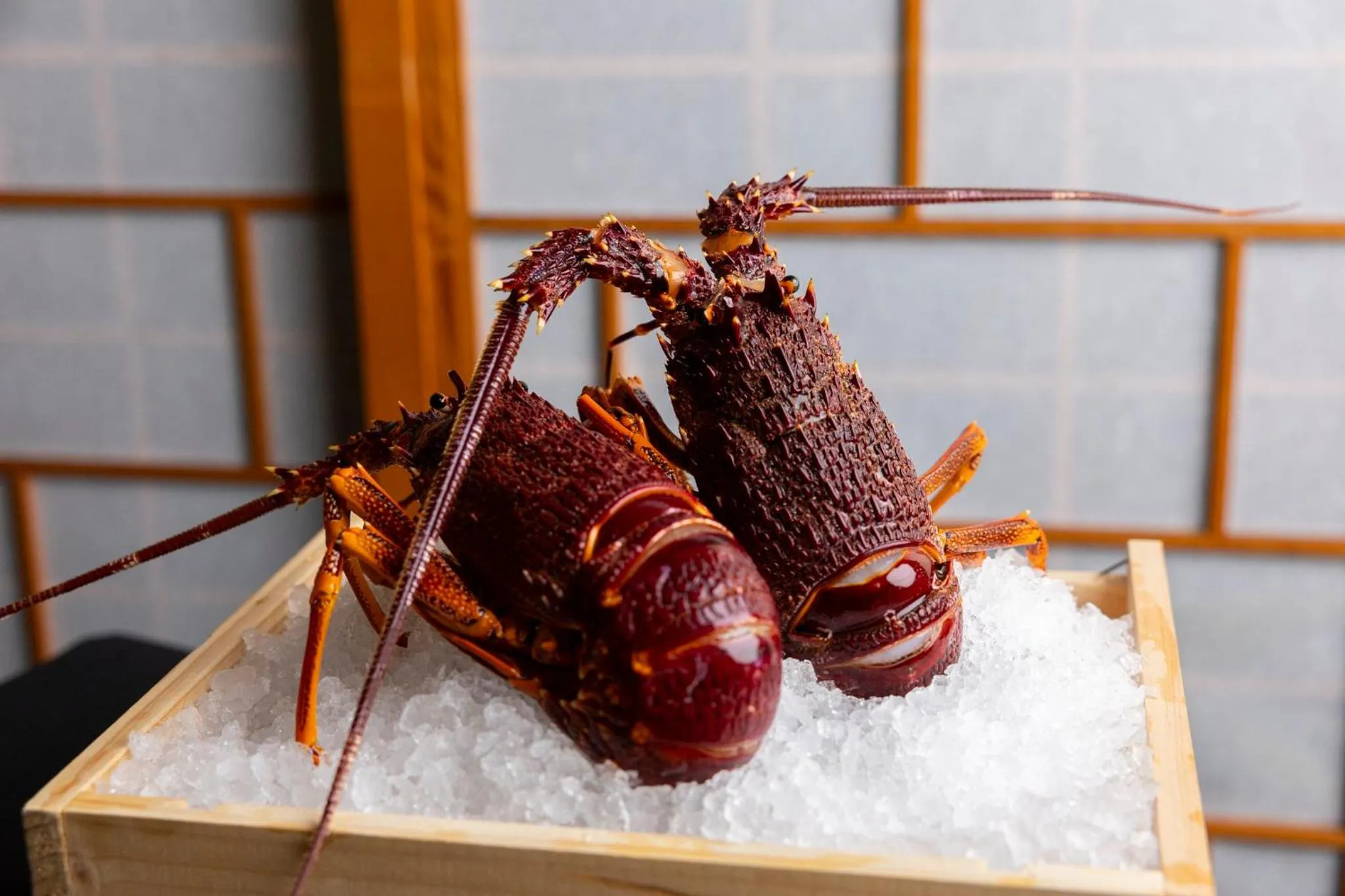 Restaurant/places to eat in InterContinental Adelaide by IHG