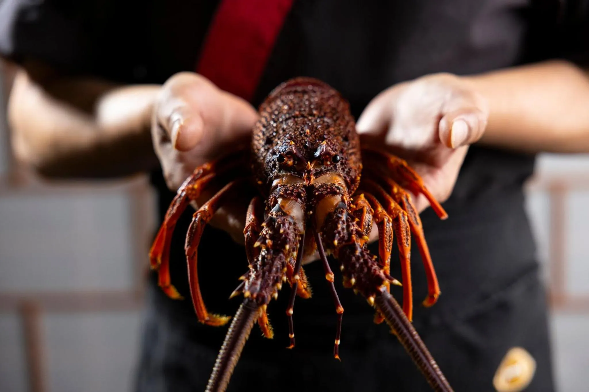 Restaurant/places to eat in InterContinental Adelaide by IHG