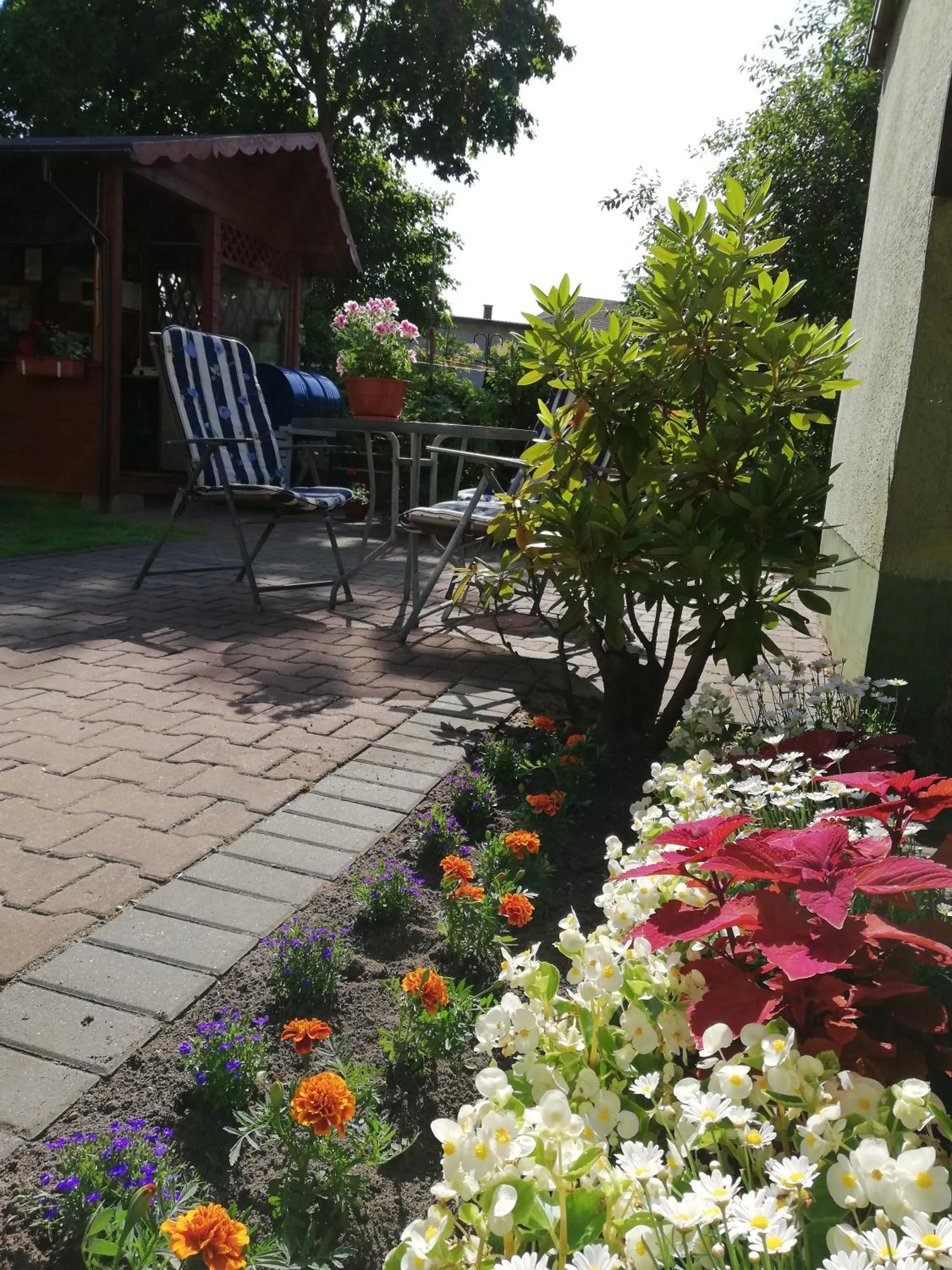 Activities in Villa Karo