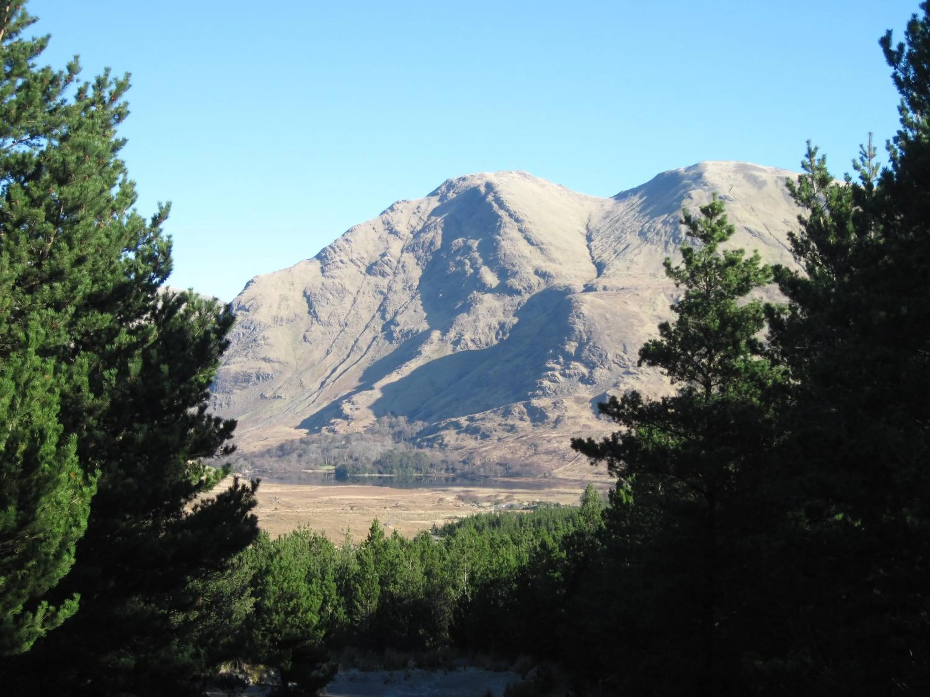 View (from property/room) in Delphi Resort Hotel & Spa