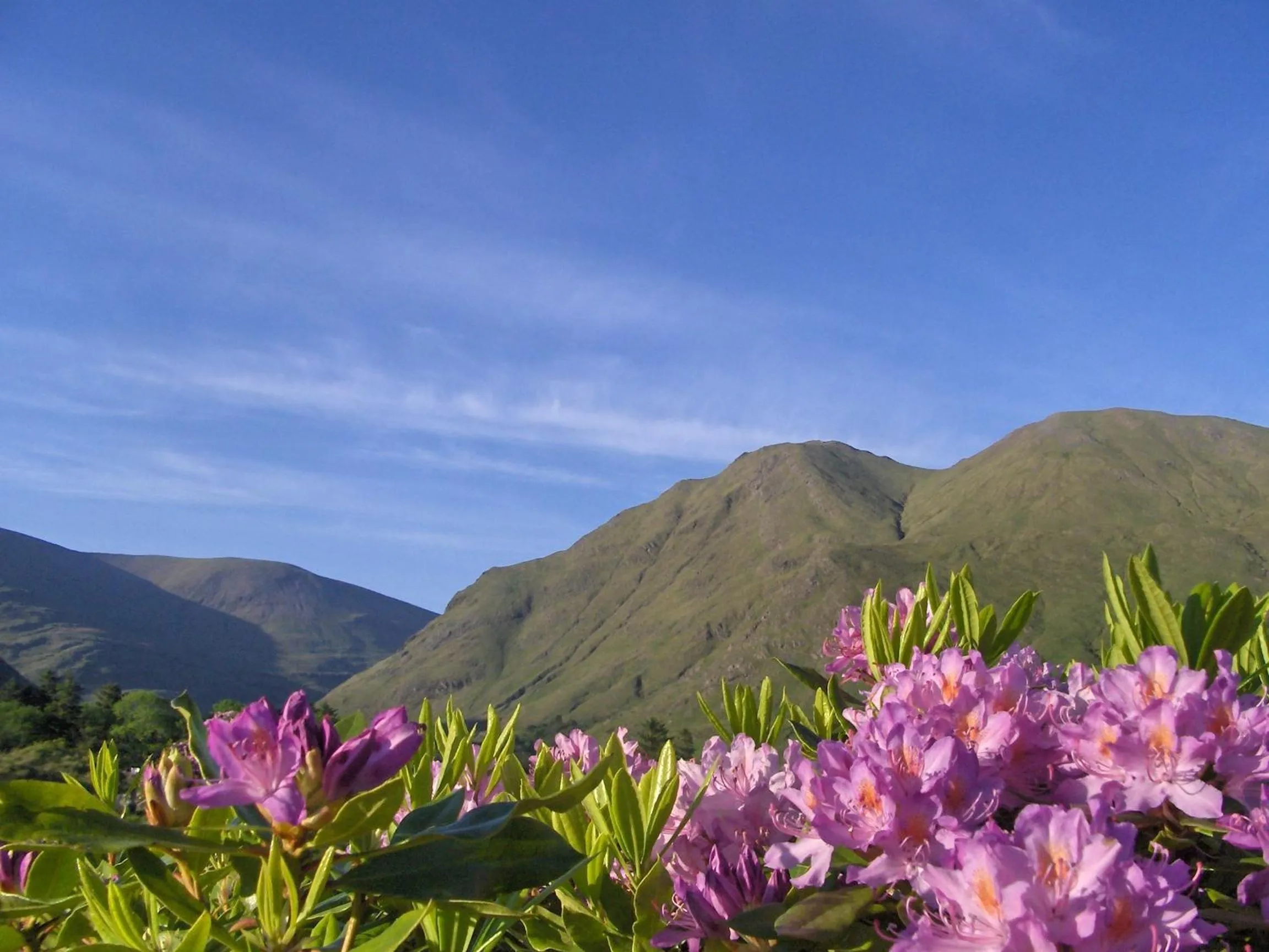 Area and facilities in Delphi Resort Hotel & Spa