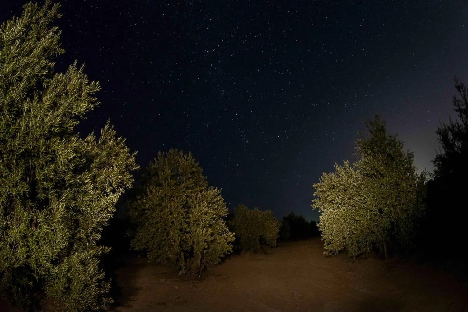 View (from property/room) in Molino La Nava
