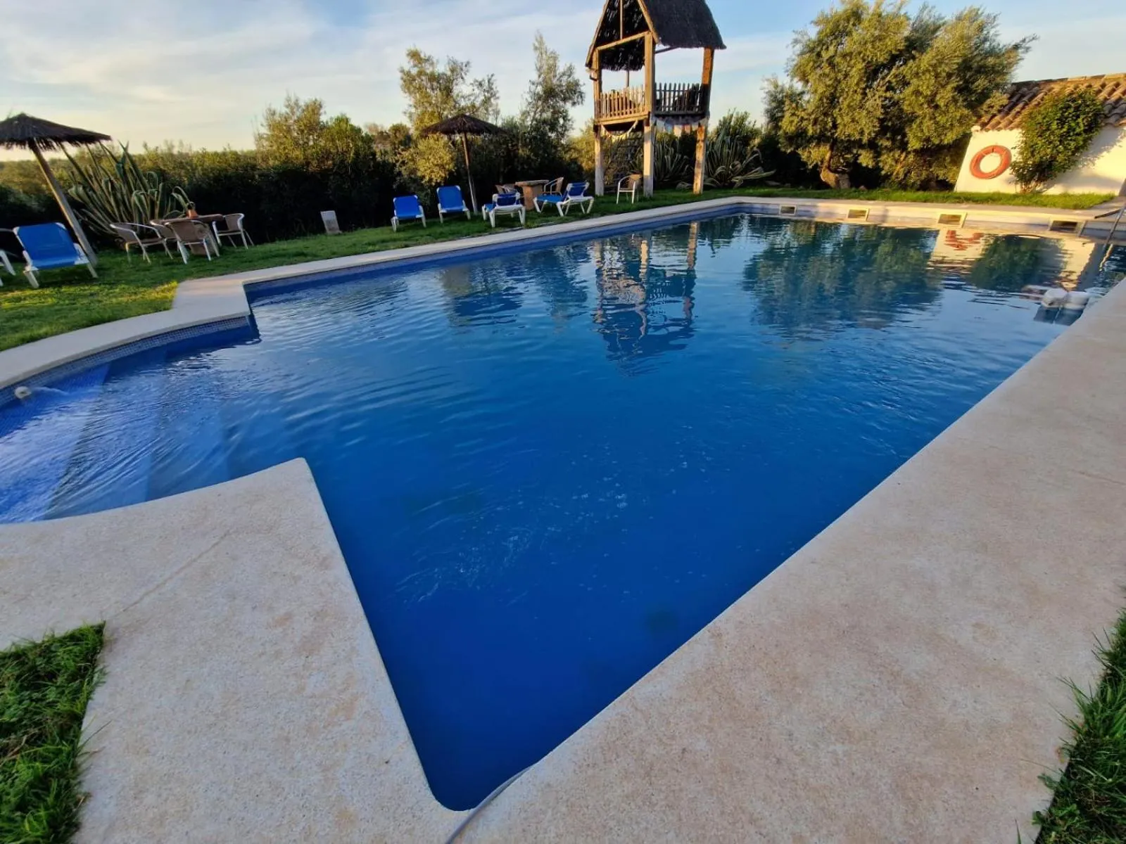 Pool view in Molino La Nava